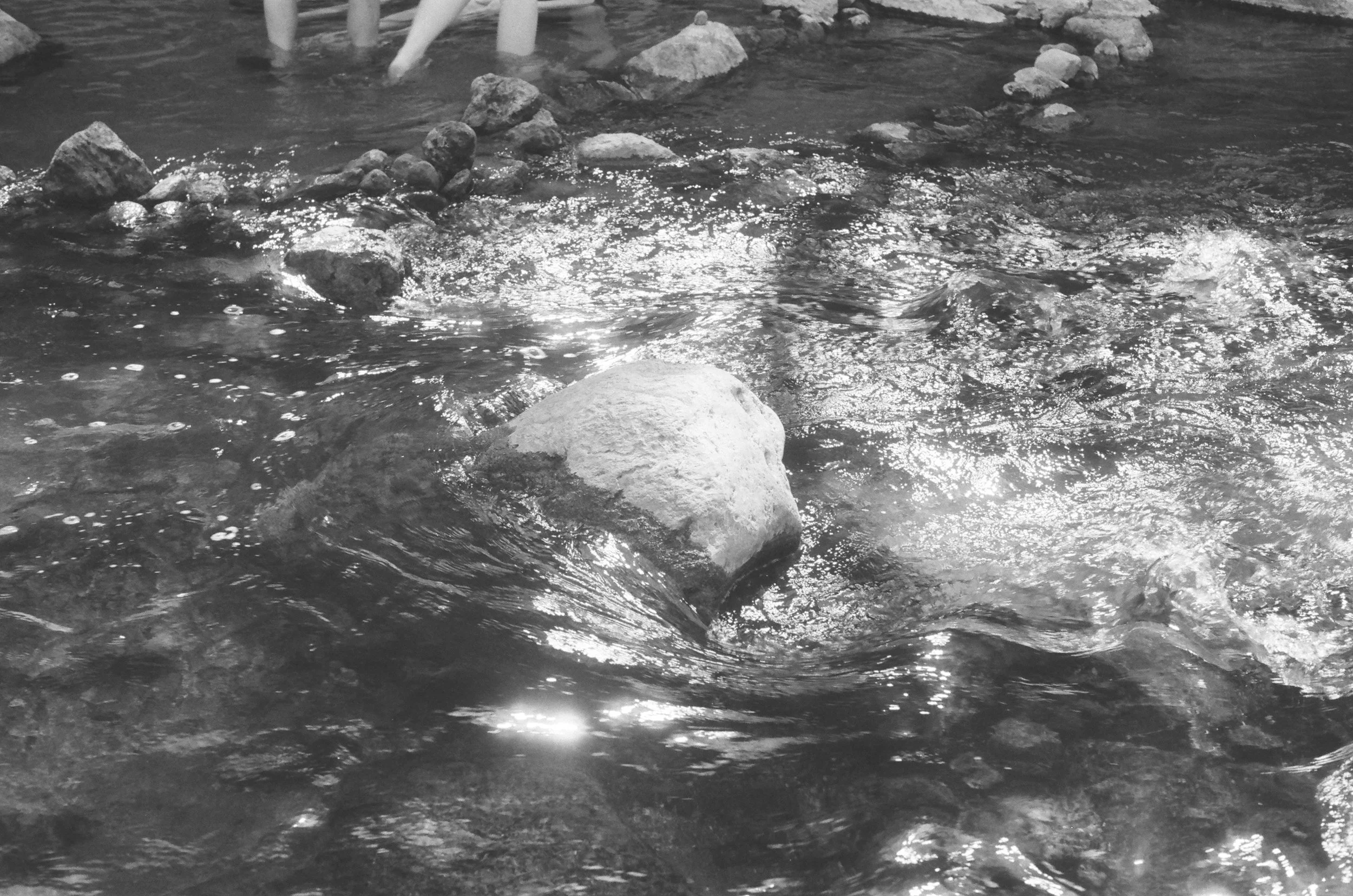 19 KPan #29 400 f5.6 125 @230 10:30.jpg