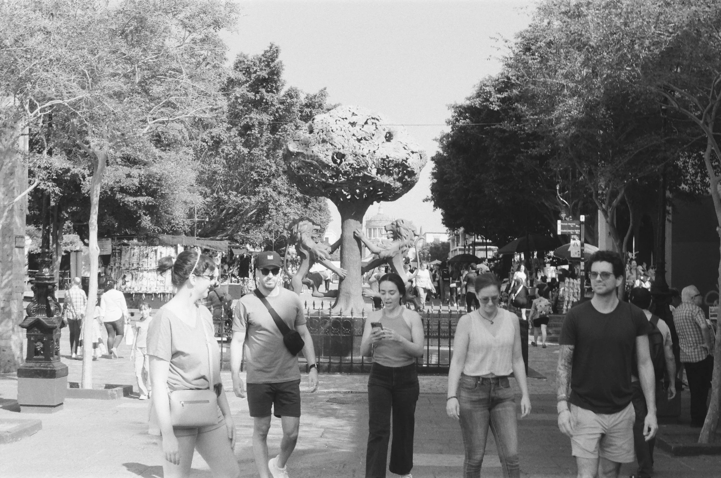 44 KPan #7 400 f5.6:8 125 10:31.jpg