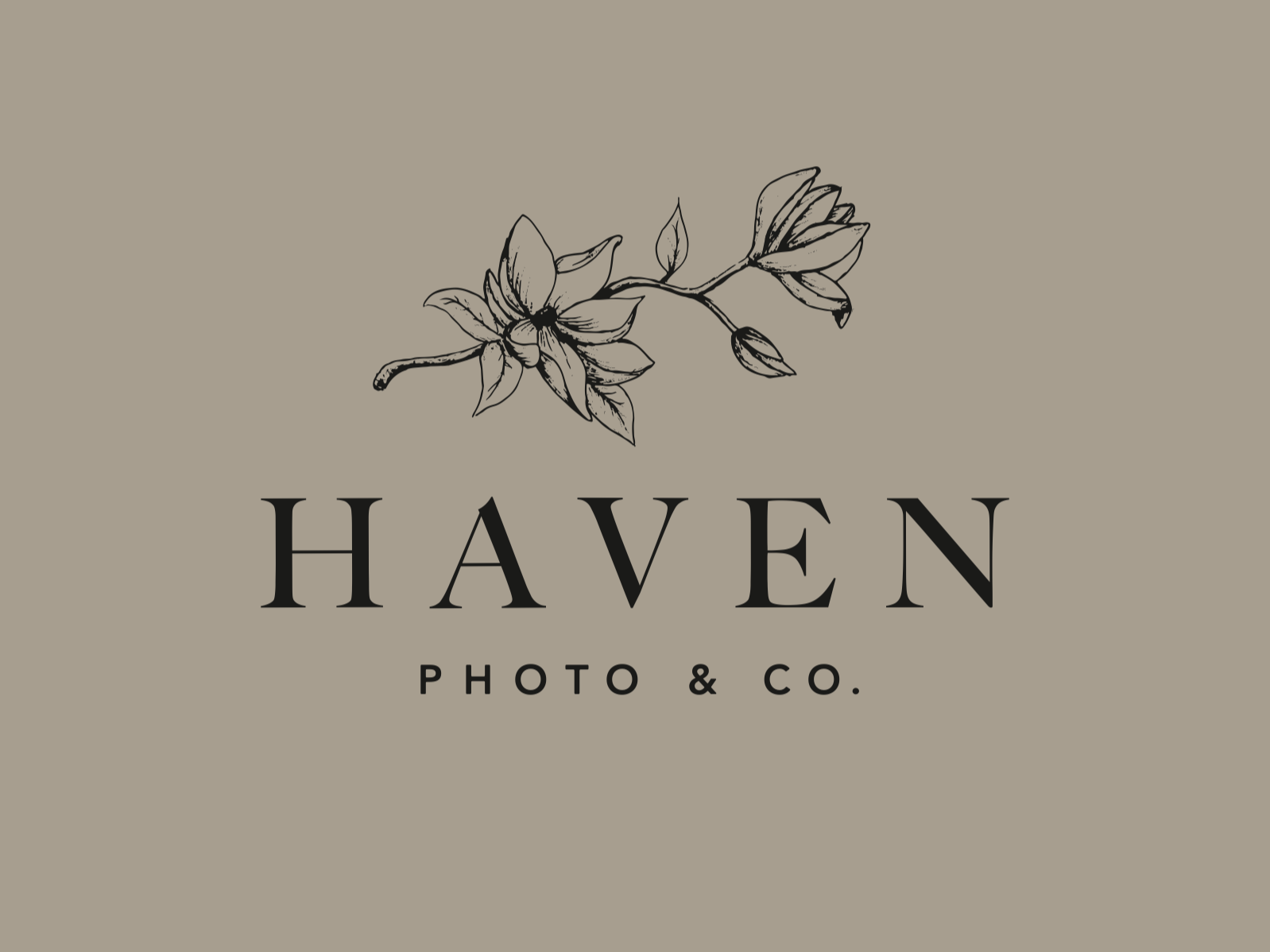 Logo for Haven Photo & Co. featuring a black and white flower illustration with the company name in large black font below.