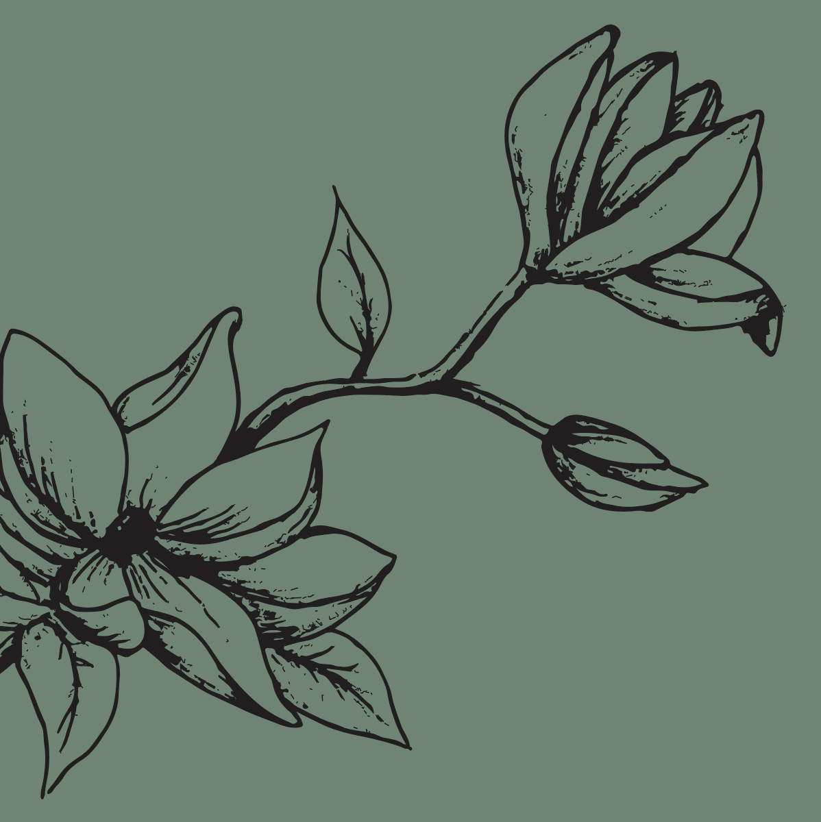 Black line drawing of flowers and leaves on a green background.