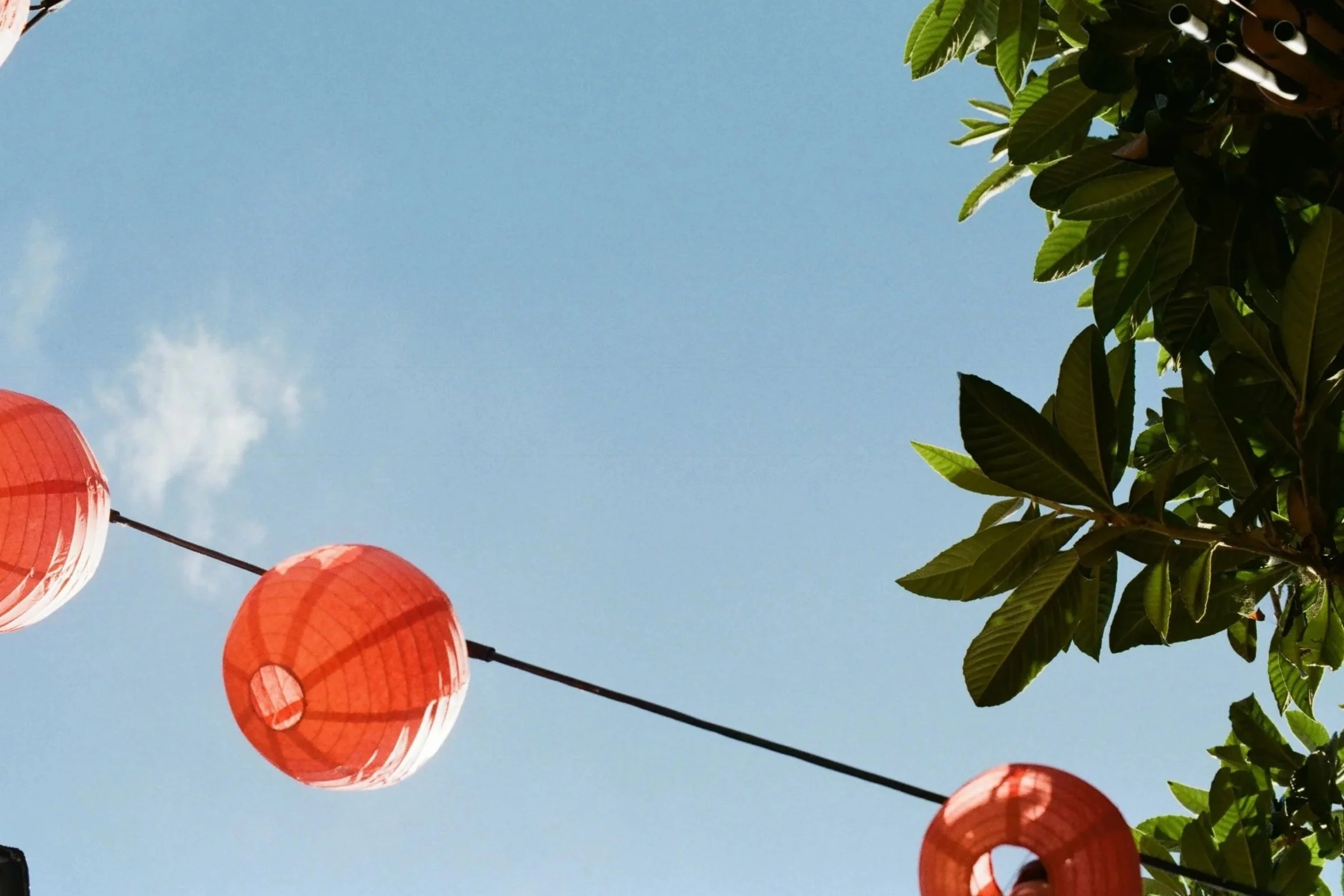Red paper lanterns hanging from a wire against a blue sky with green leaves on the right side of the image.