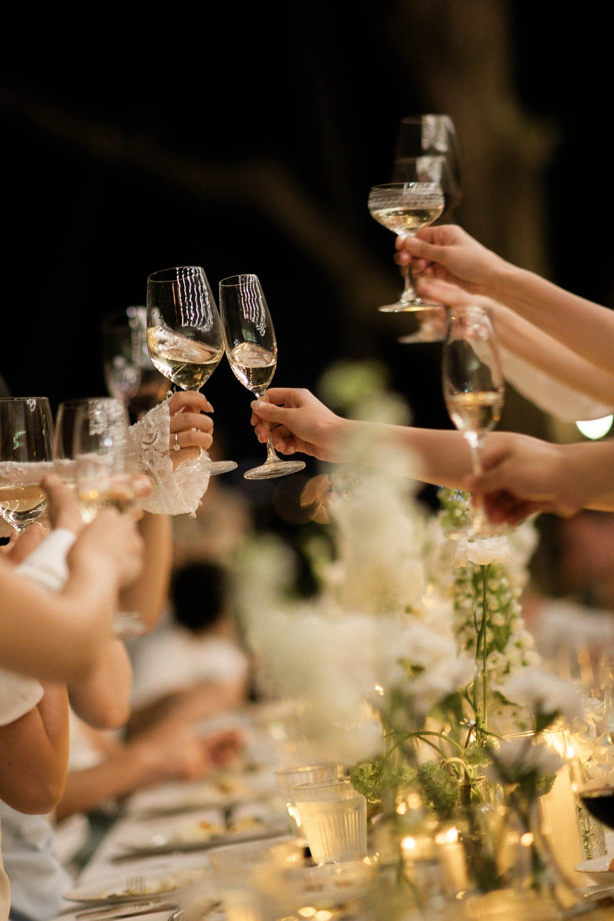 Bride and groom raising a toast with their guests.