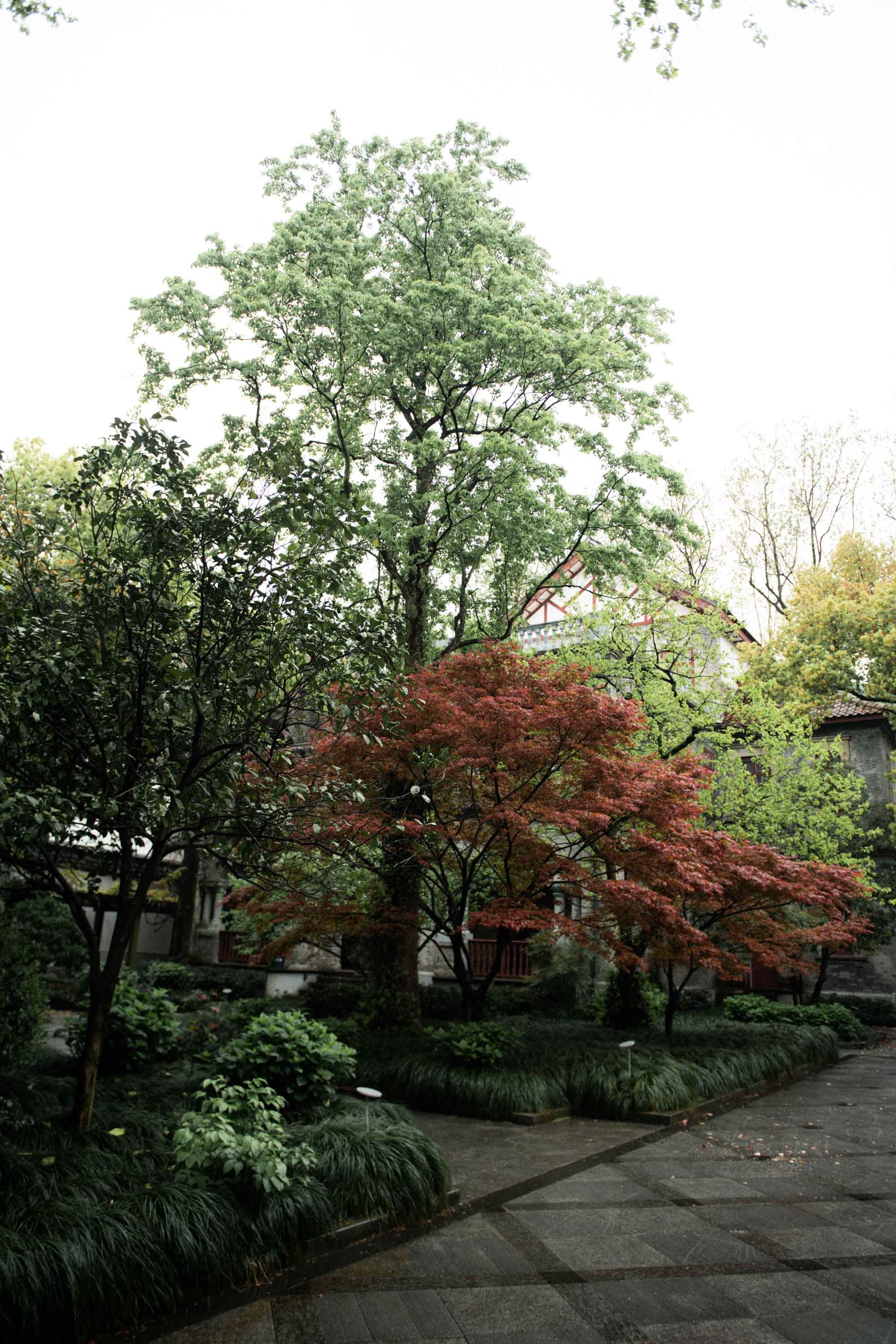Garden pathway surrounded by autumn trees after the rain.