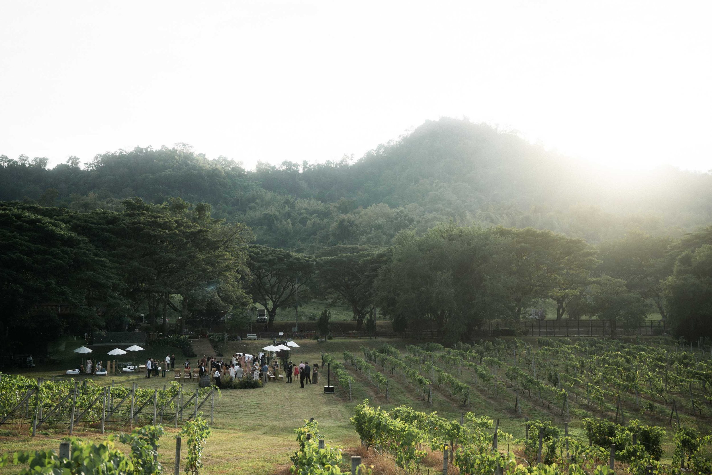Wide view of the wedding venue surrounded by vineyards, trees, and mountains at Issara Estates Winery.