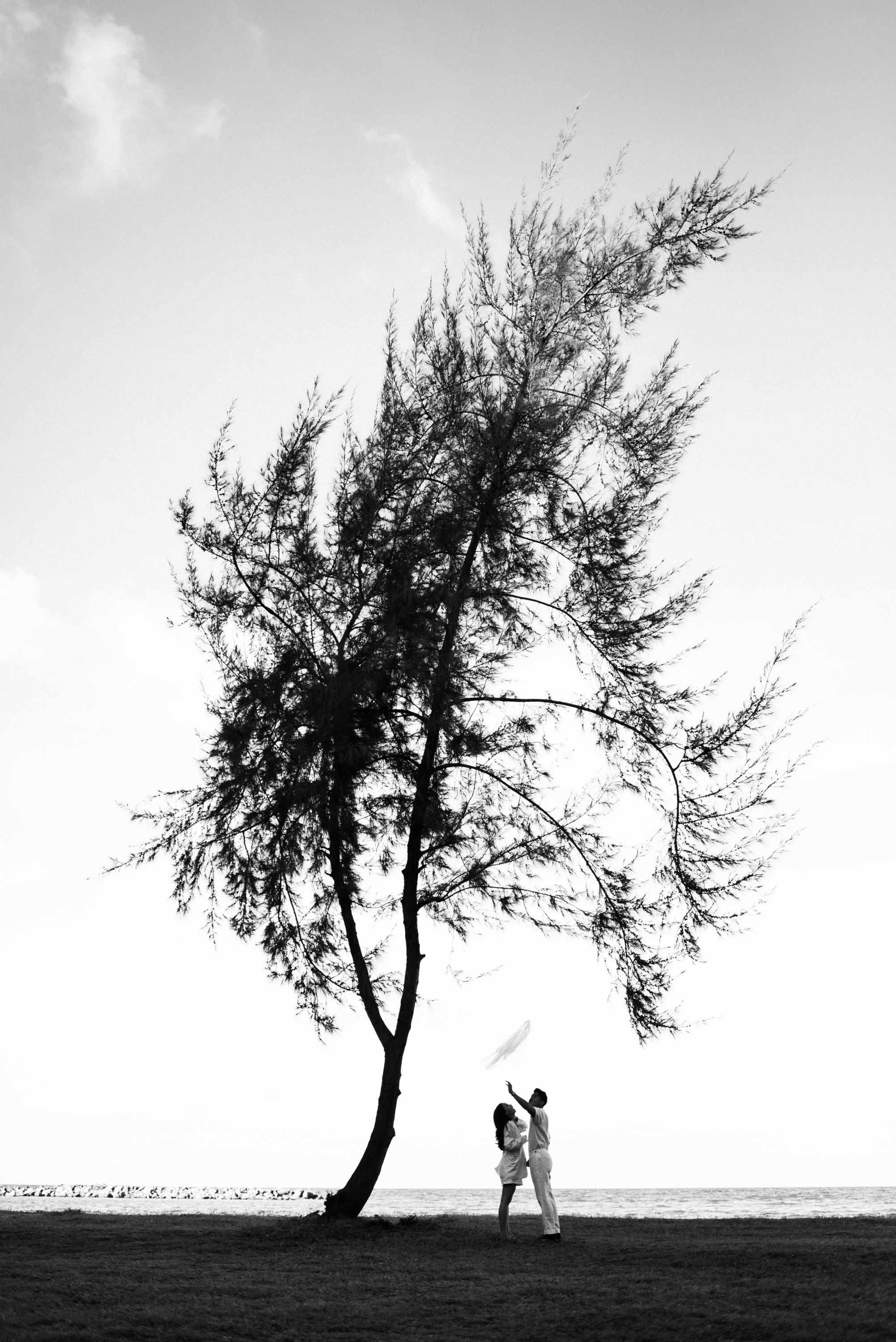 Couple standing together beneath a large tree as the wind blows through the bride-to-be's veil.