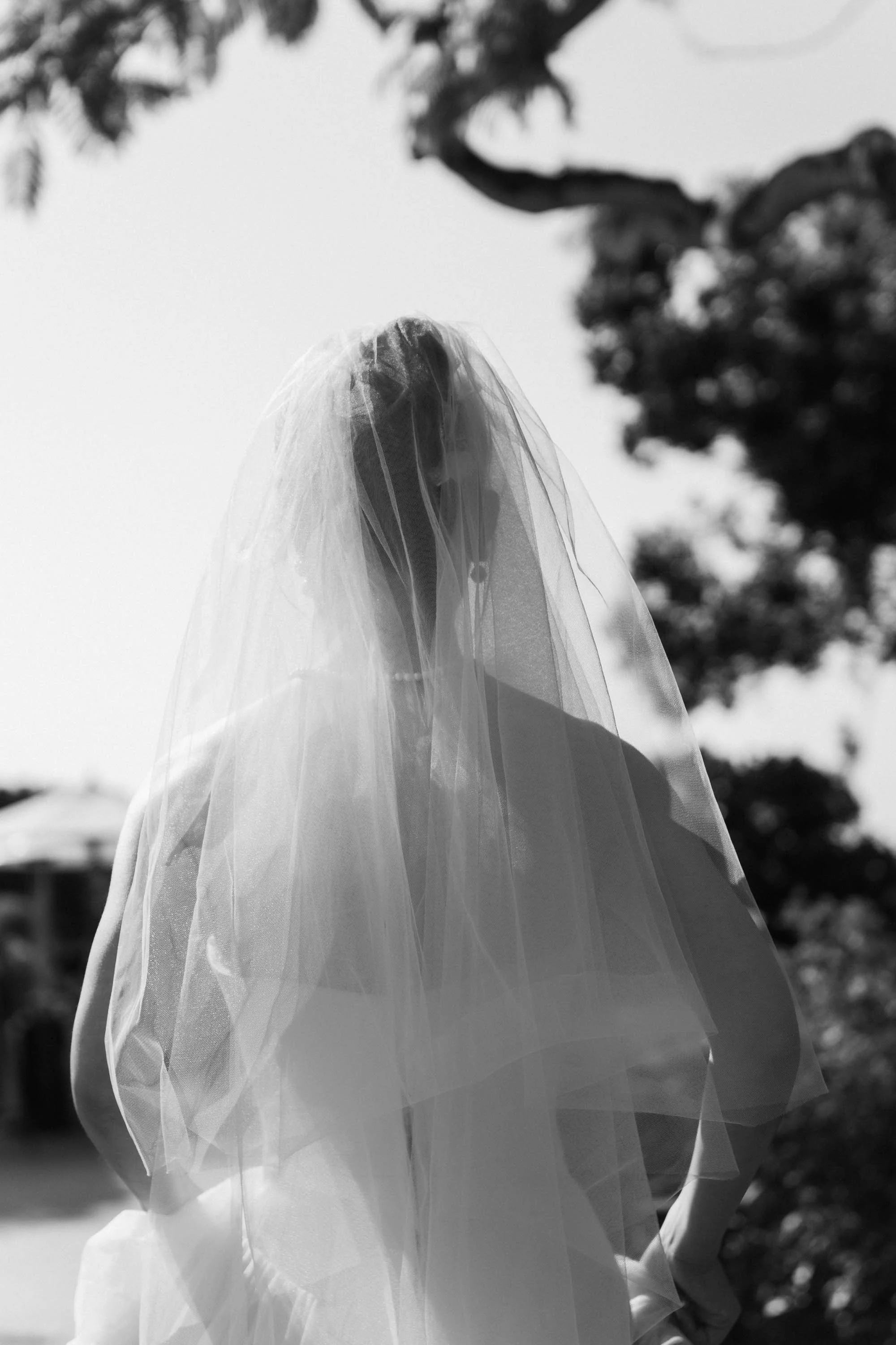 Back view of the bride beneath her wedding veil.