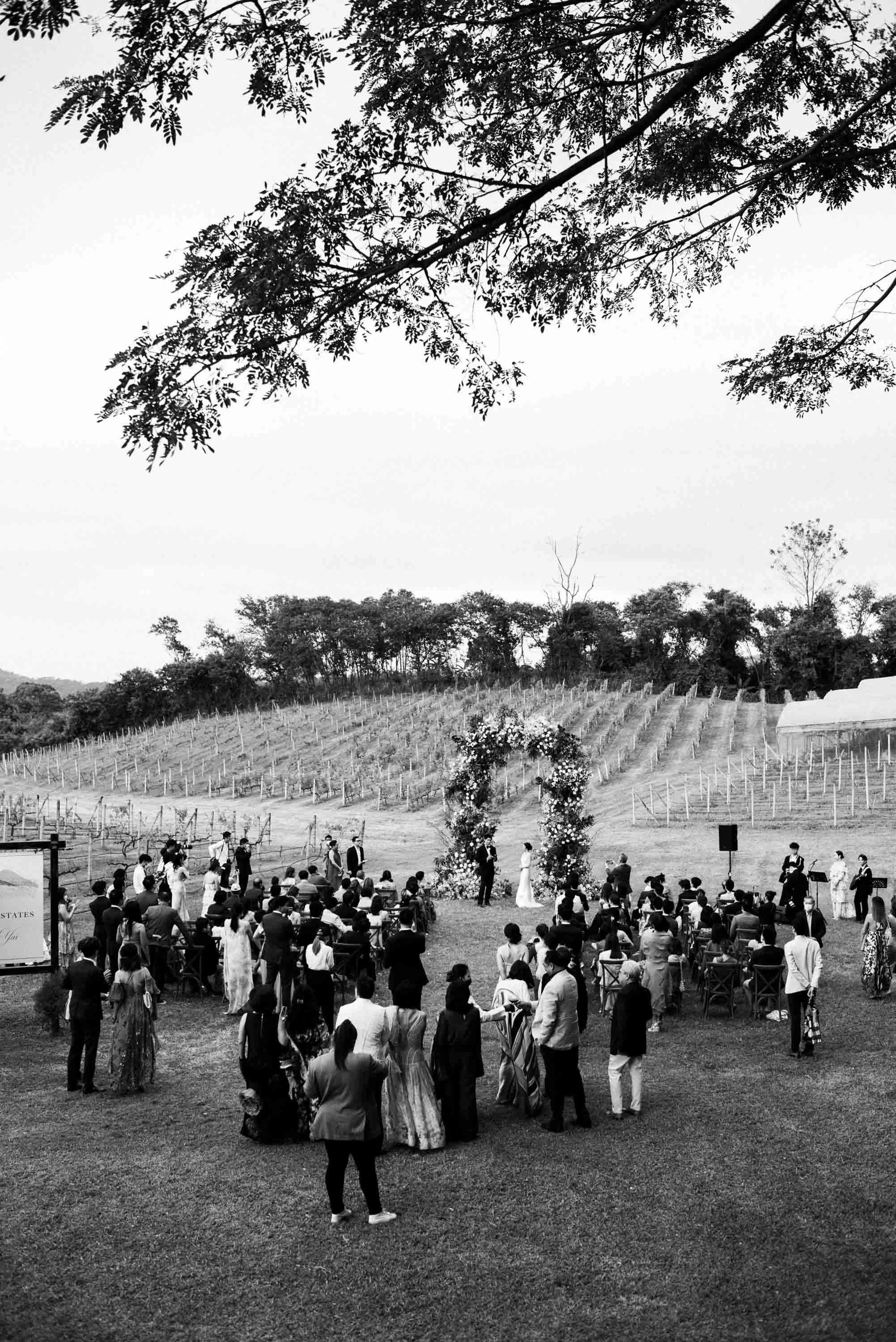 Bride and groom sharing their vows with guests among the vineyards.