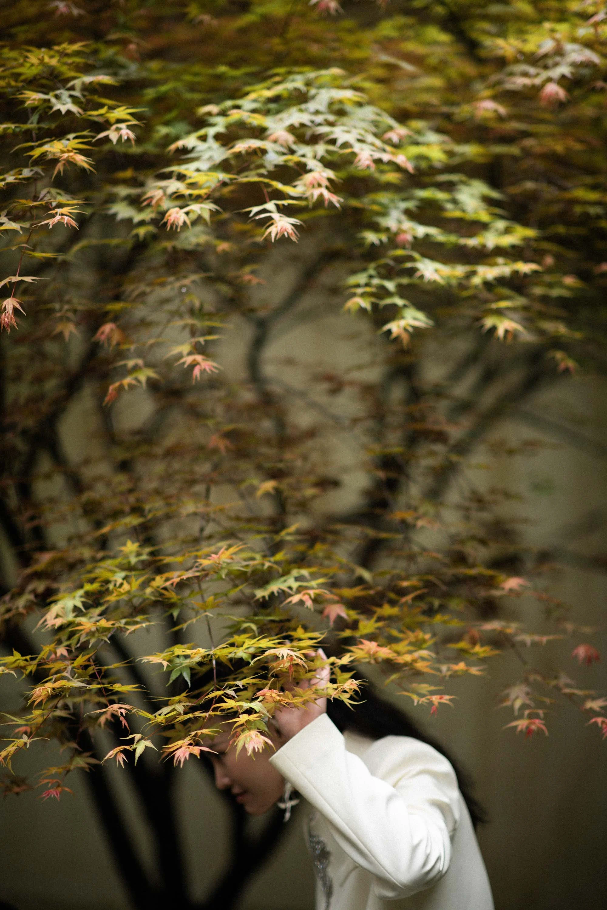 Bride walking beneath colorful autumn leaves.