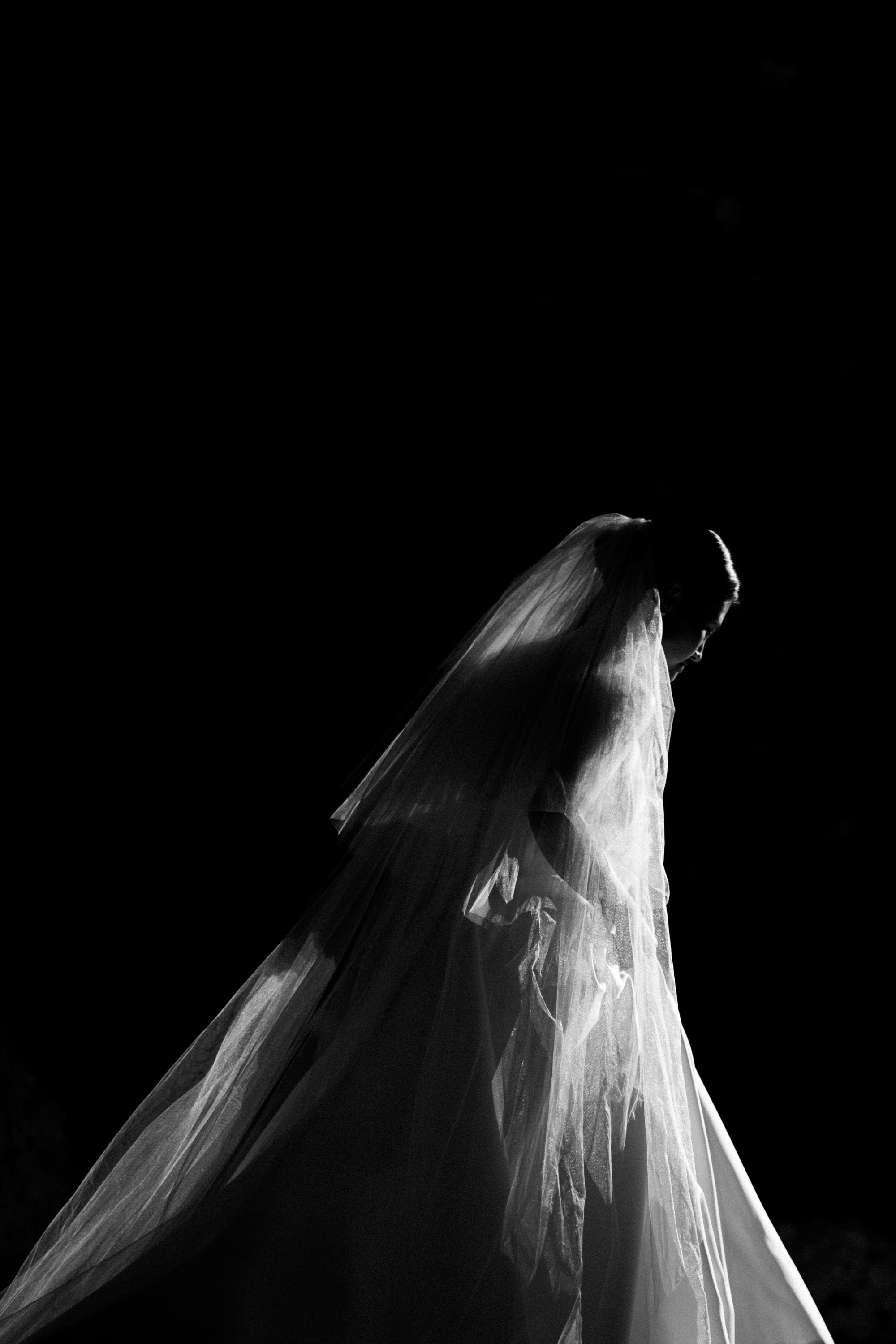 Bride walking into the reception beneath the spotlight.