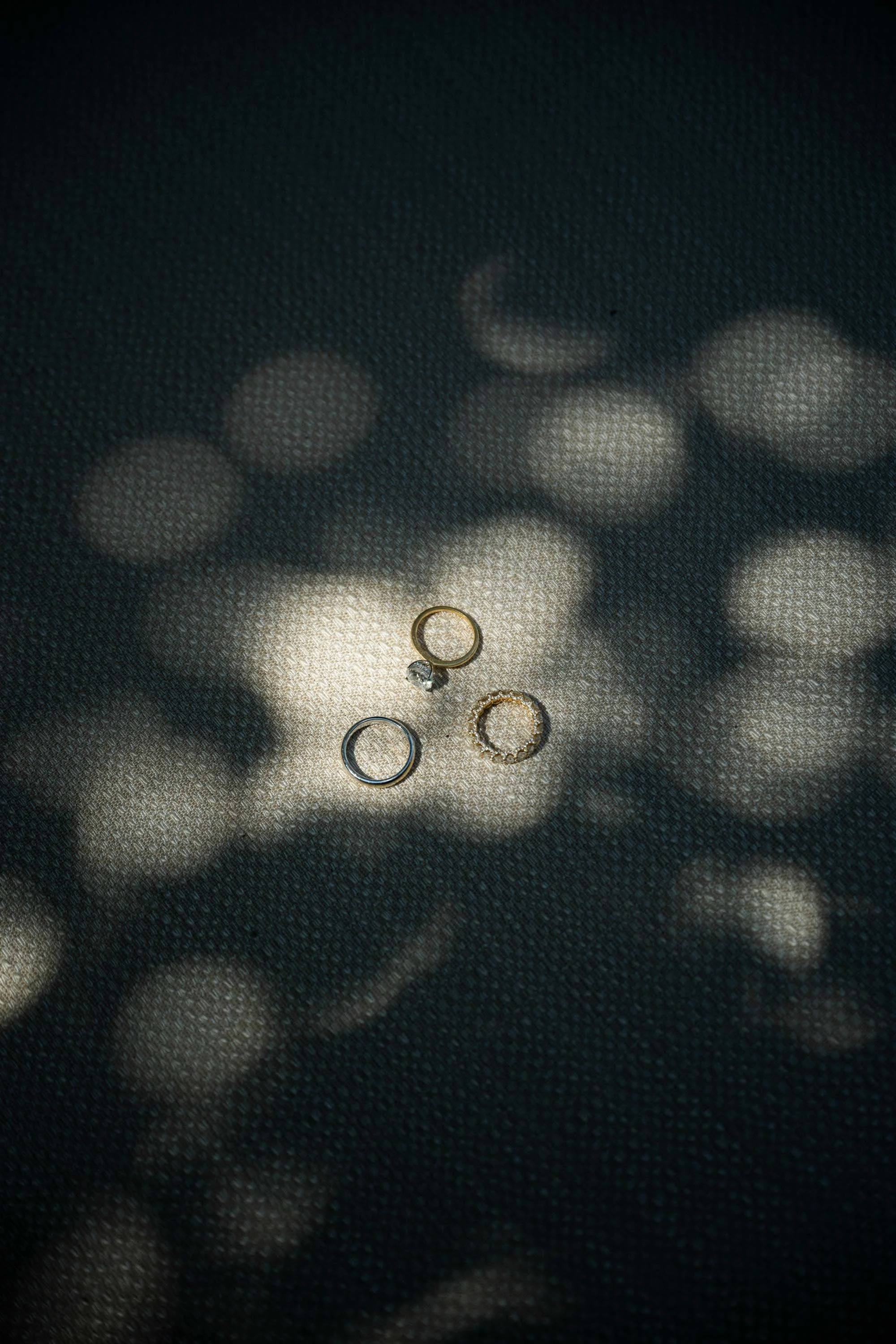 Wedding rings photographed in soft patterned light.