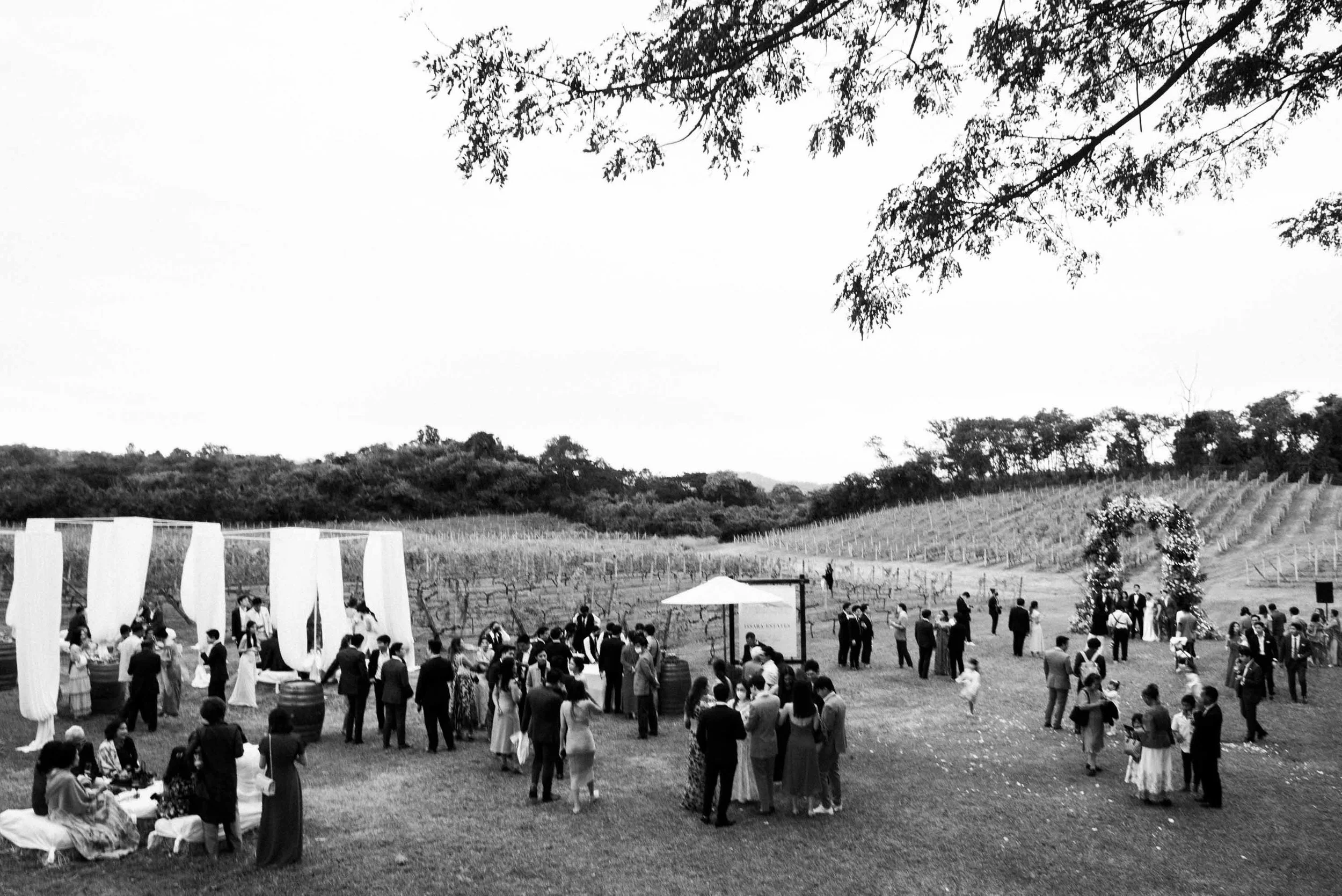 Wide view of the wedding celebration as the couple takes portraits with guests surrounded by vineyards and nature.