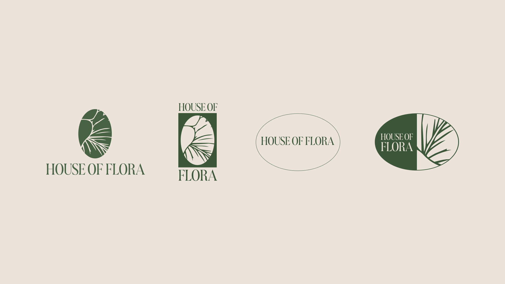HF 05.png
