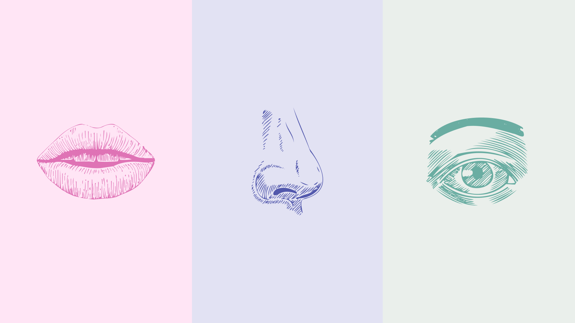 MB 03.png