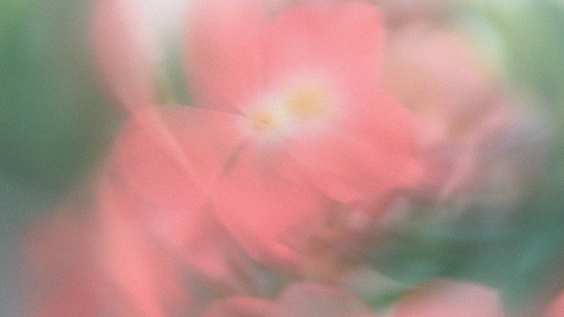 House of Flora