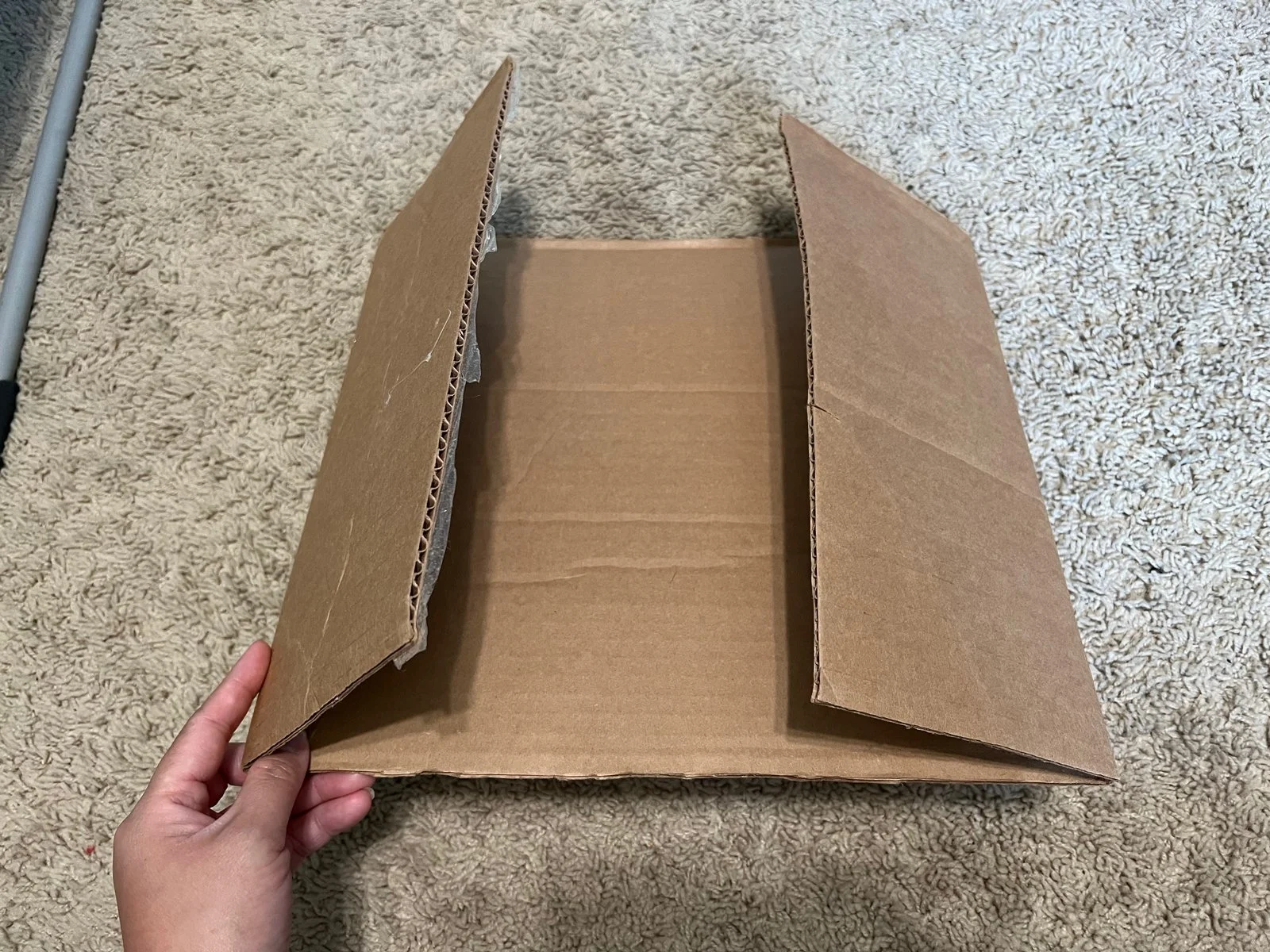 Open empty cardboard shipping box being held by a person's hand on a beige carpeted floor.