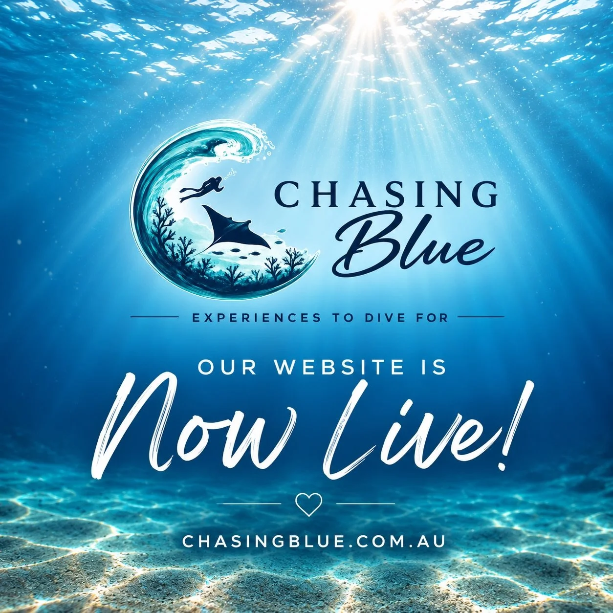 A small milestone, but an exciting one.

The Chasing Blue website is now live. 💙

I&rsquo;m delighted to share this with you all.

Whether you&rsquo;d like to learn more about the vision behind Chasing Blue, explore future adventures or simply follo