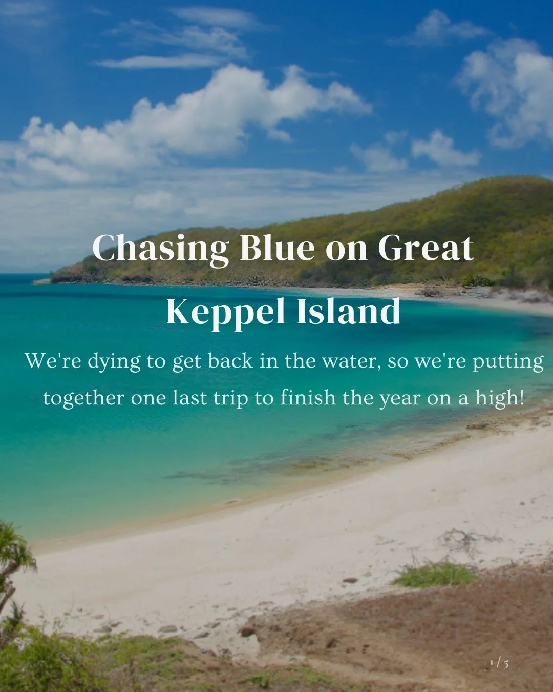 Chasing Blue on Great Keppel Island 💙

We&rsquo;re heading to Great Keppel Island this November for a relaxed social dive trip, and we&rsquo;d love for you to join us.

This isn&rsquo;t a fully hosted Chasing Blue experience&mdash;it&rsquo;s simply 