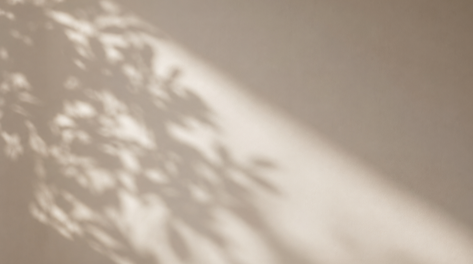 Soft botanical shadows on a warm neutral wall.