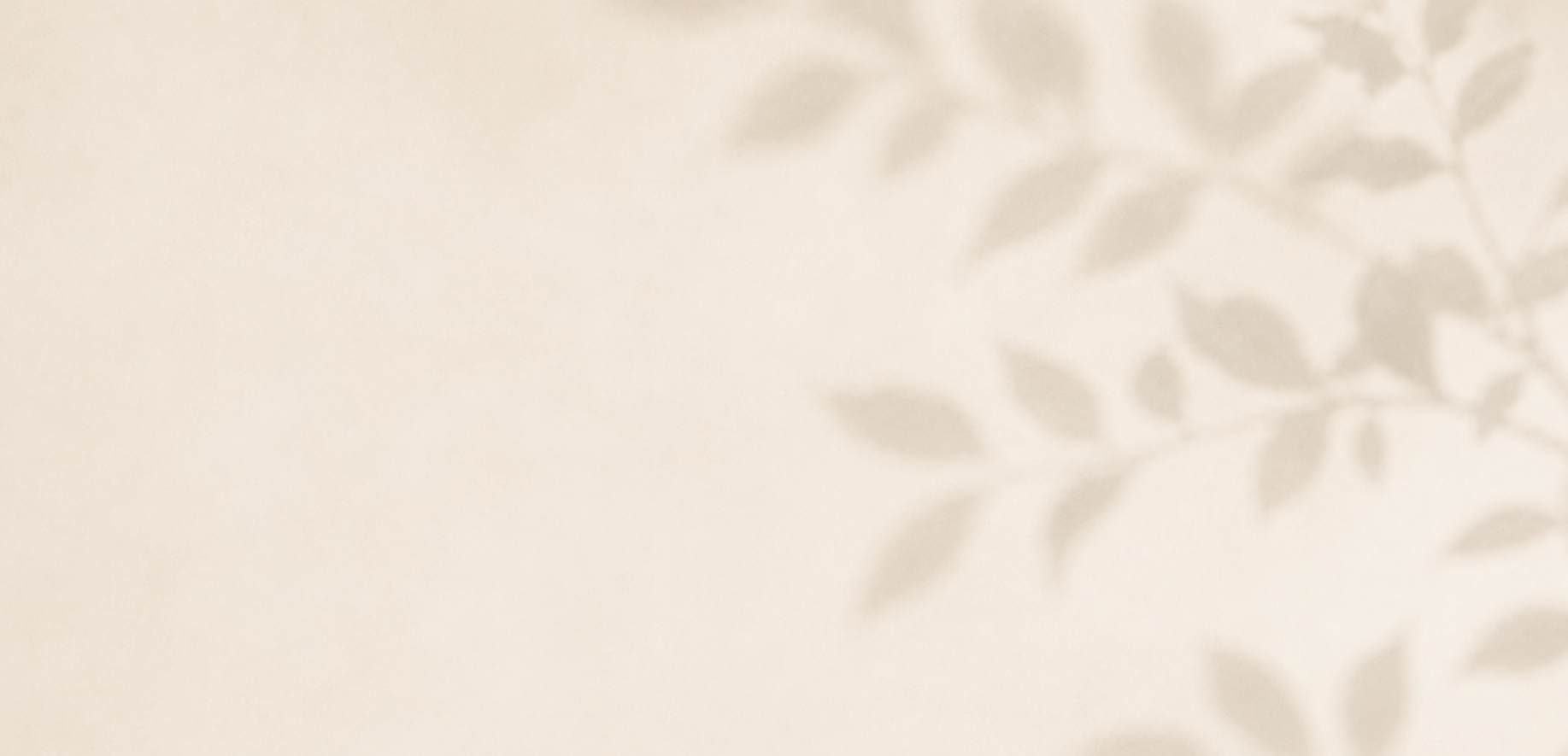 A soft, blurred image of a leafy plant shadow on a light, neutral-colored wall.