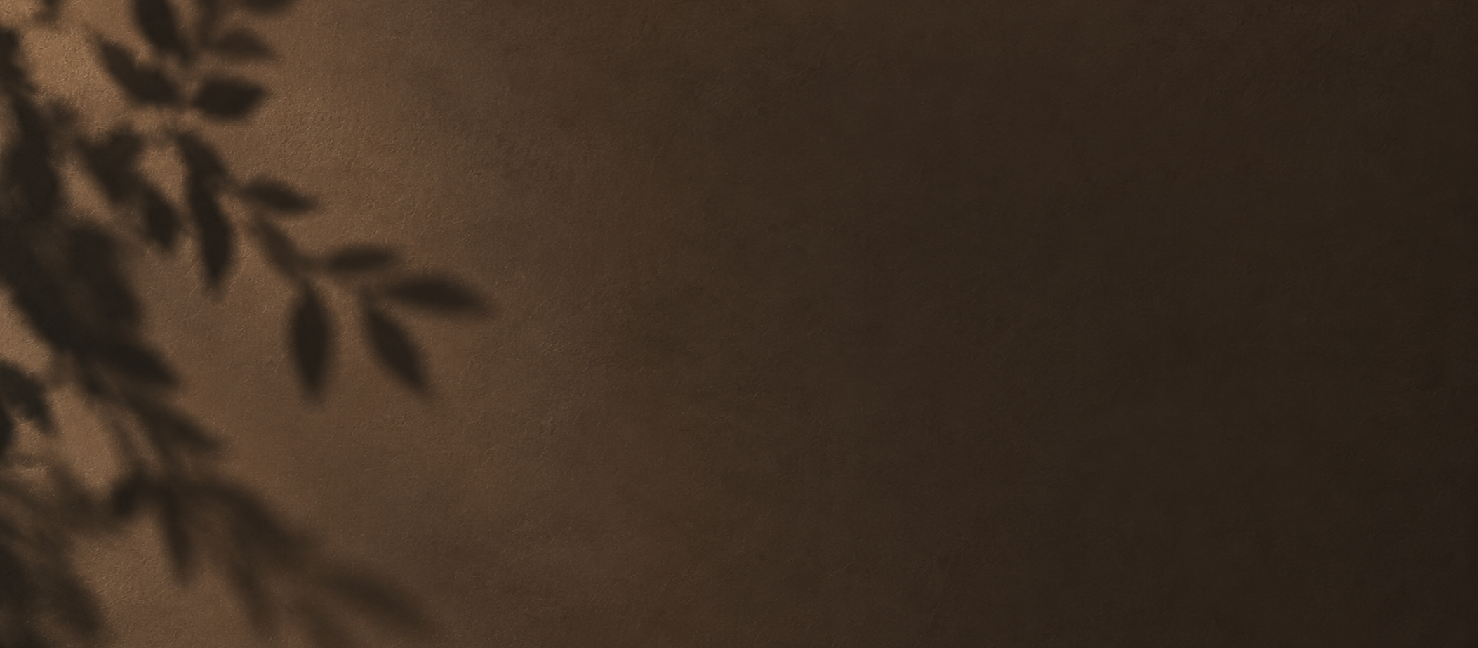 Warm brown background with soft botanical shadows.