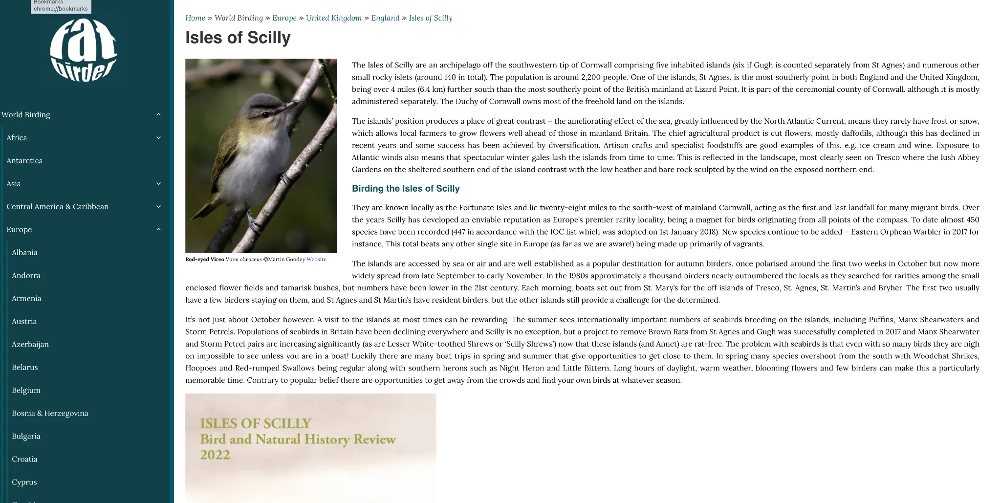 Fatbirder Isles of Scilly page with its birding introduction and a credited Red-eyed Vireo photograph.