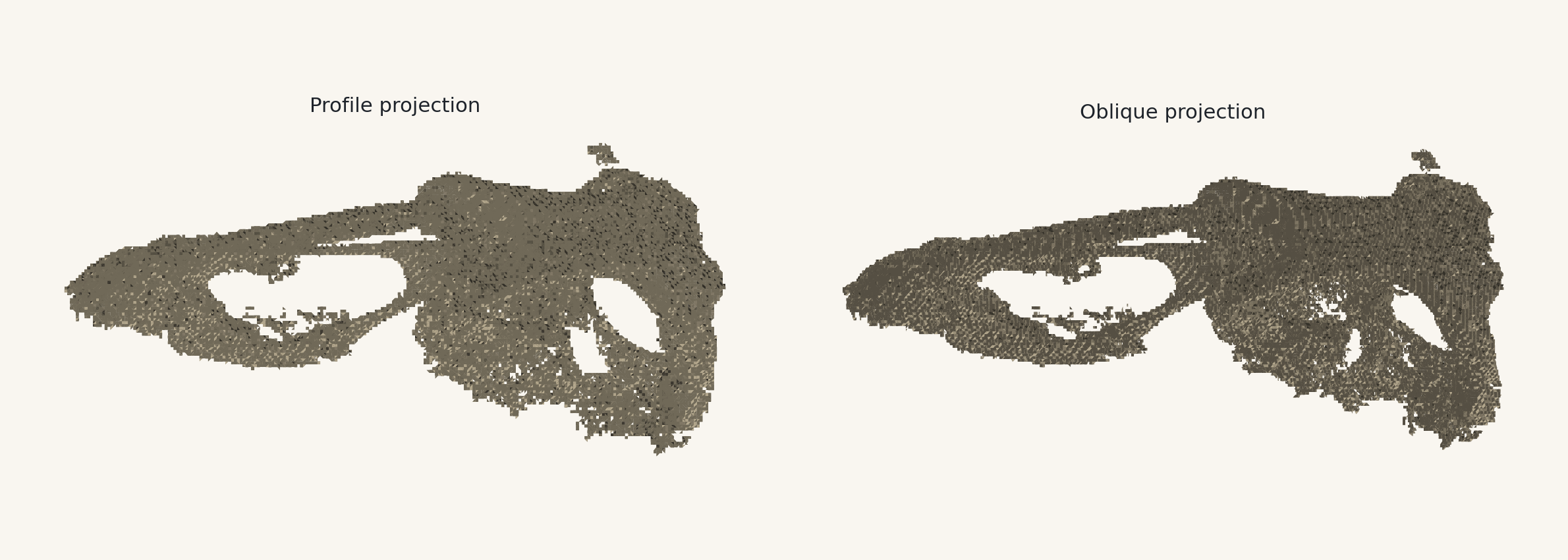 Two shaded projections of the Asteriornis fossil skull surface model, showing the preserved bill and braincase.
