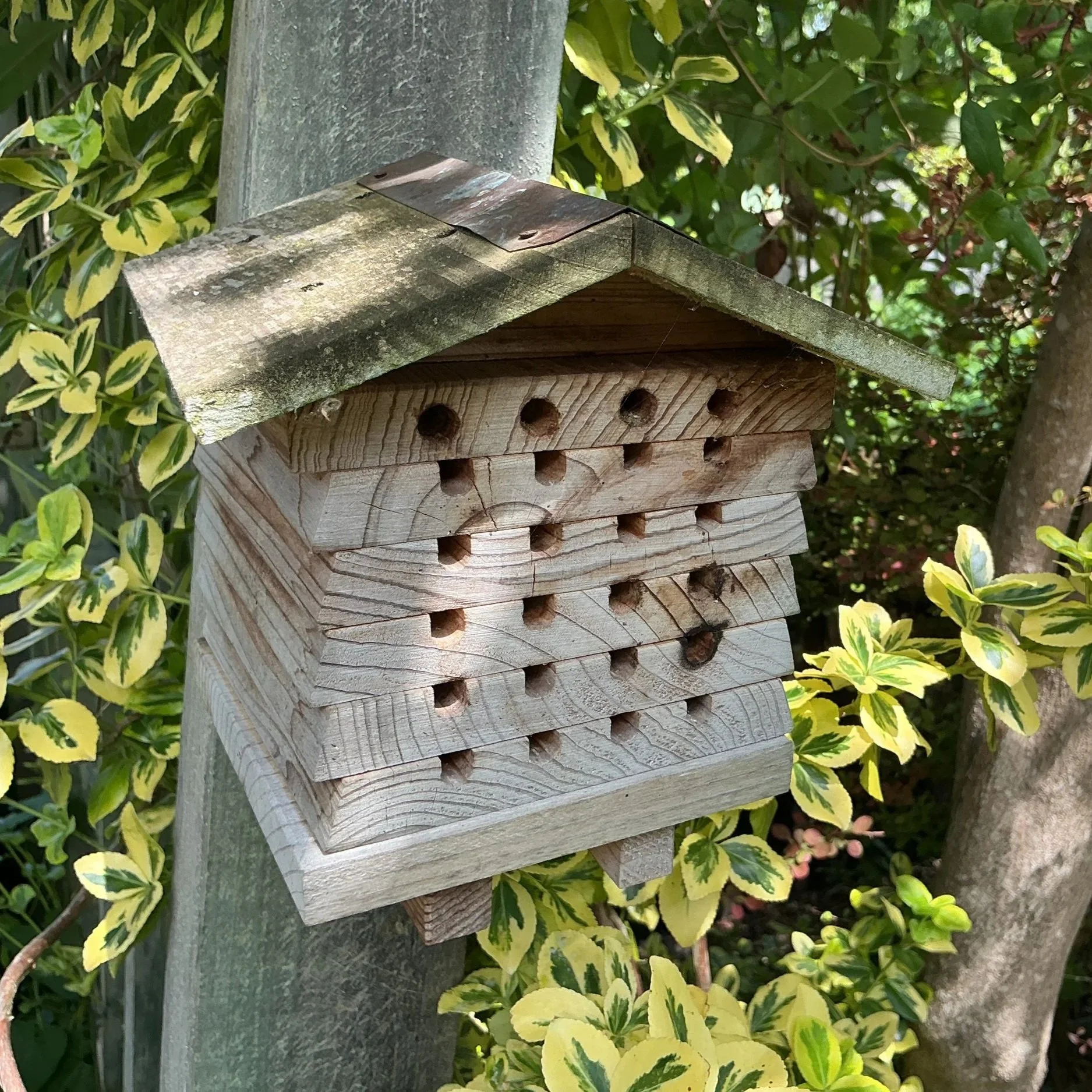 Beyond the Bug Hotel: Do Bug Hotels Really Work?
