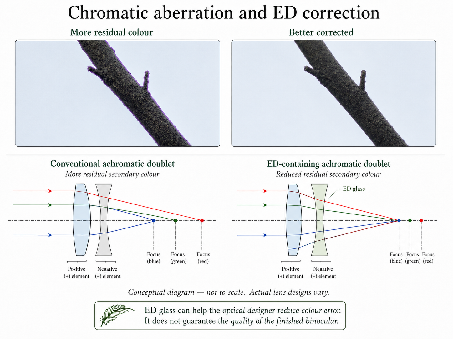 ED glass correction