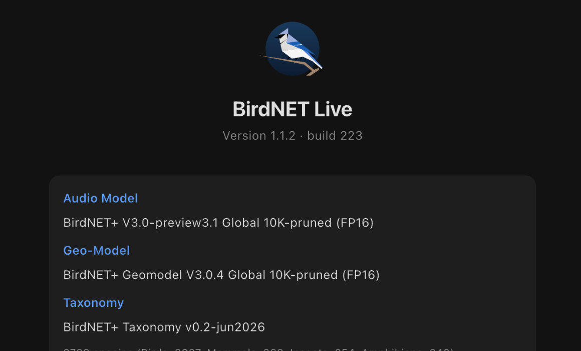 BirdNET Live About screen showing version 1.1.2 build 223, BirdNET+ V3.0-preview3.1, Geomodel V3.0.4 and taxonomy v0.2-jun2026.
