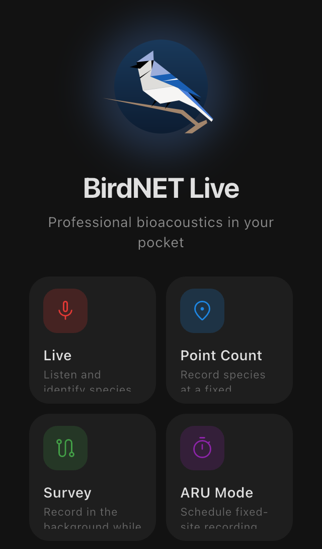 BirdNET Live home screen with Live, Point Count, Survey and ARU recording modes.