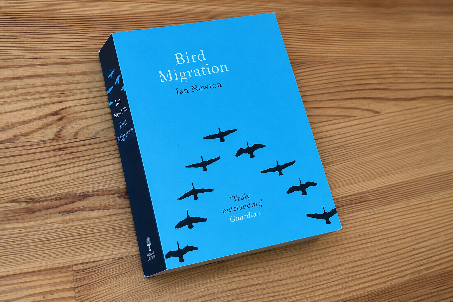 Bird Migration by Ian Newton review: a clear introduction for birders