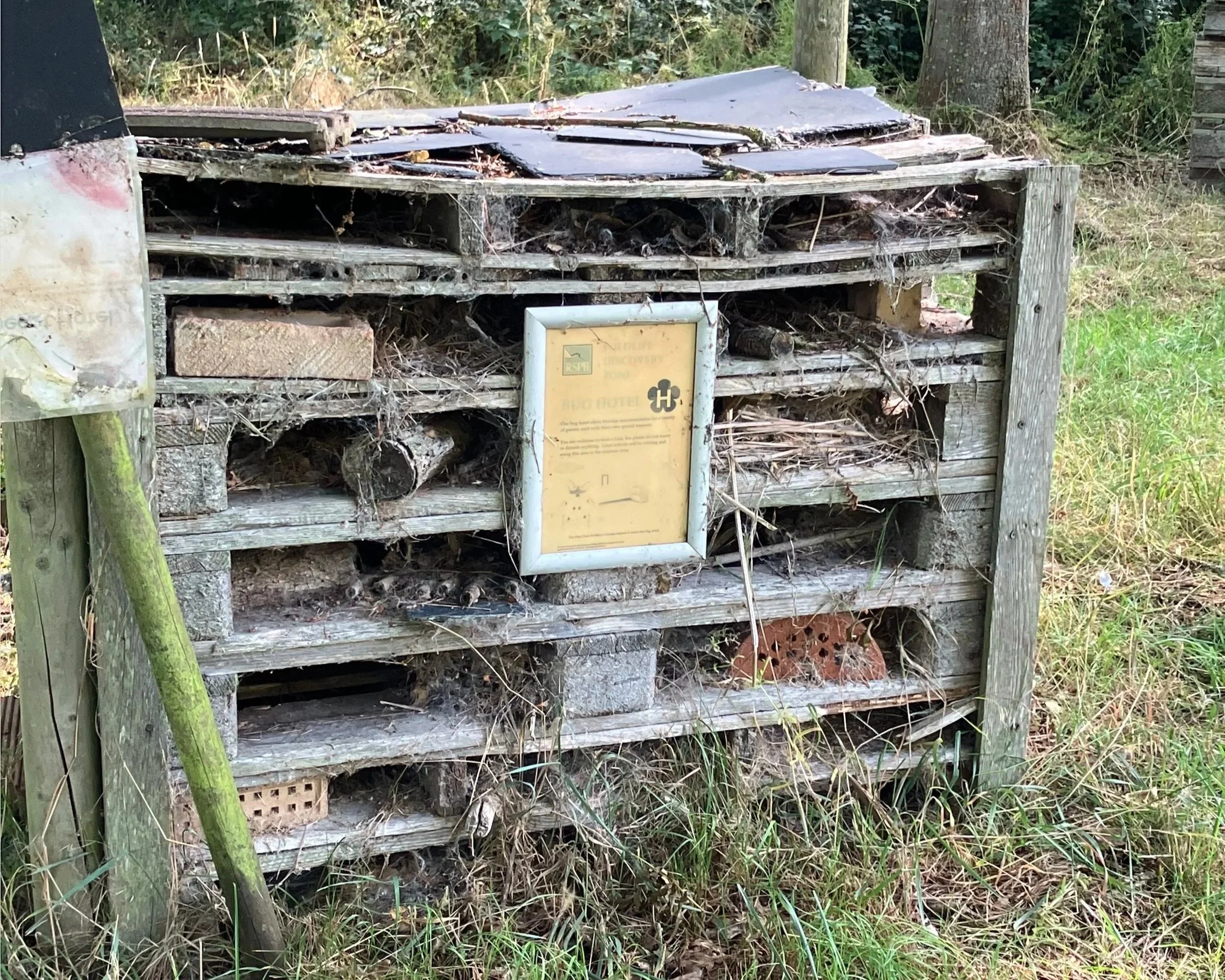 Large mixed-material bug hotel made from stacked pallets, logs, bricks and stems at Fen Drayton Lakes