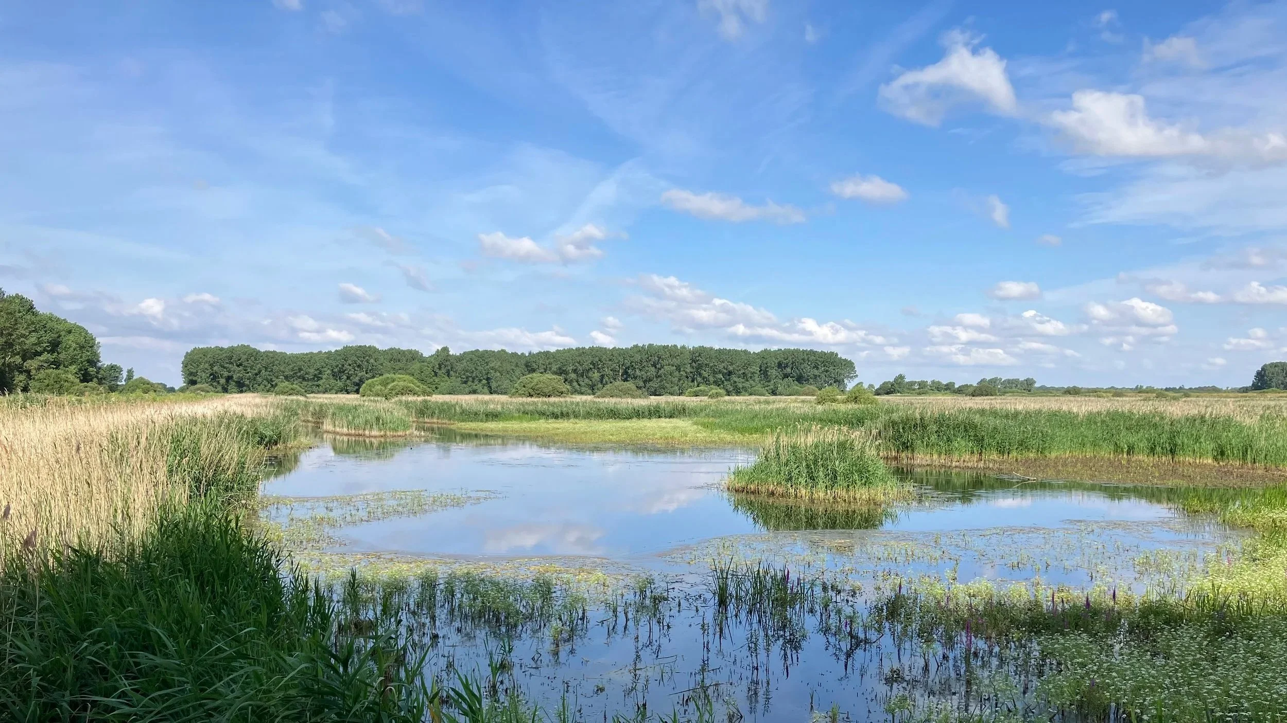 RSPB Lakenheath Fen