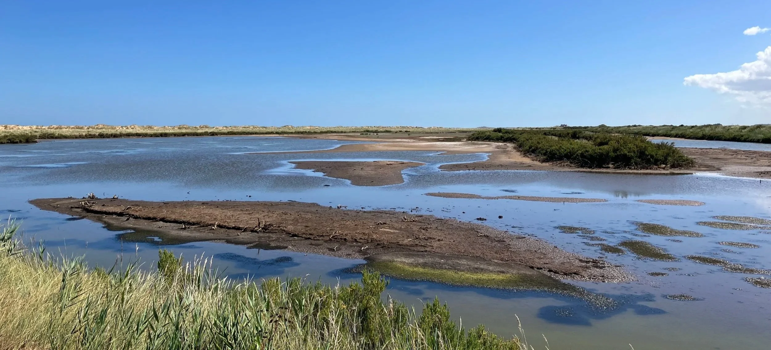 The Freshmarsh