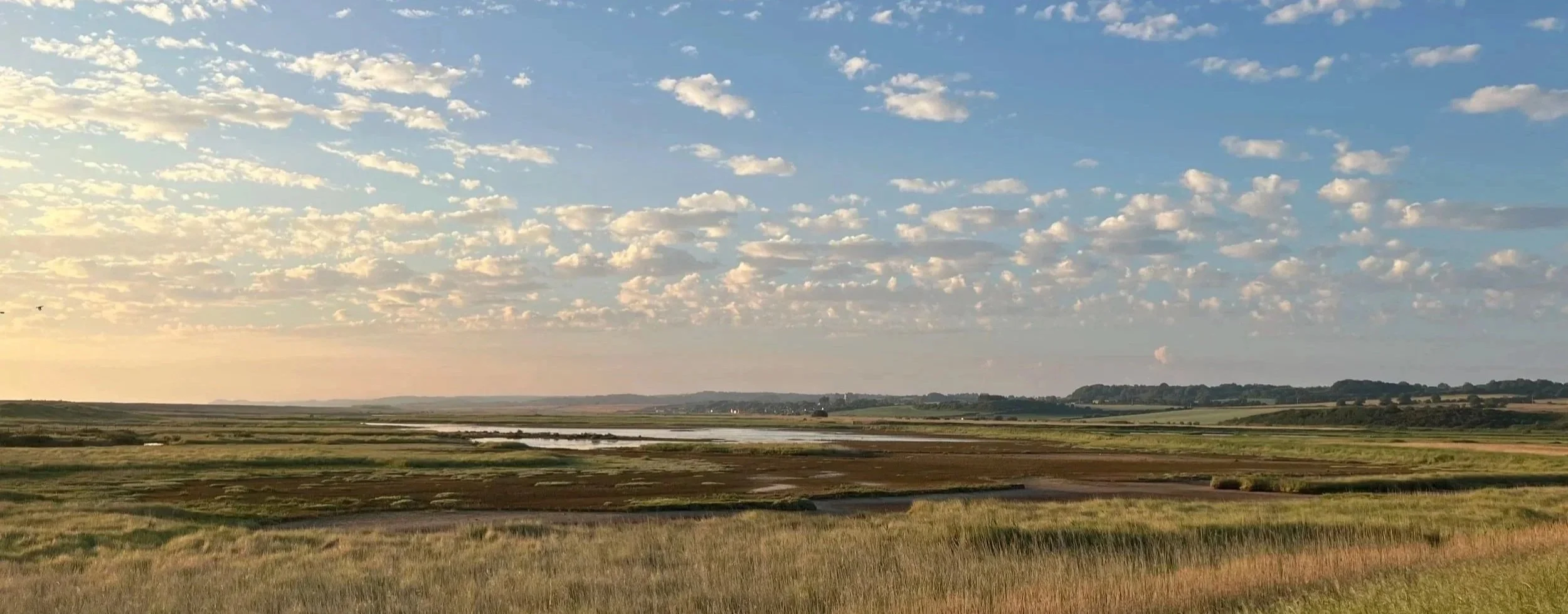 A view across Cley marshes