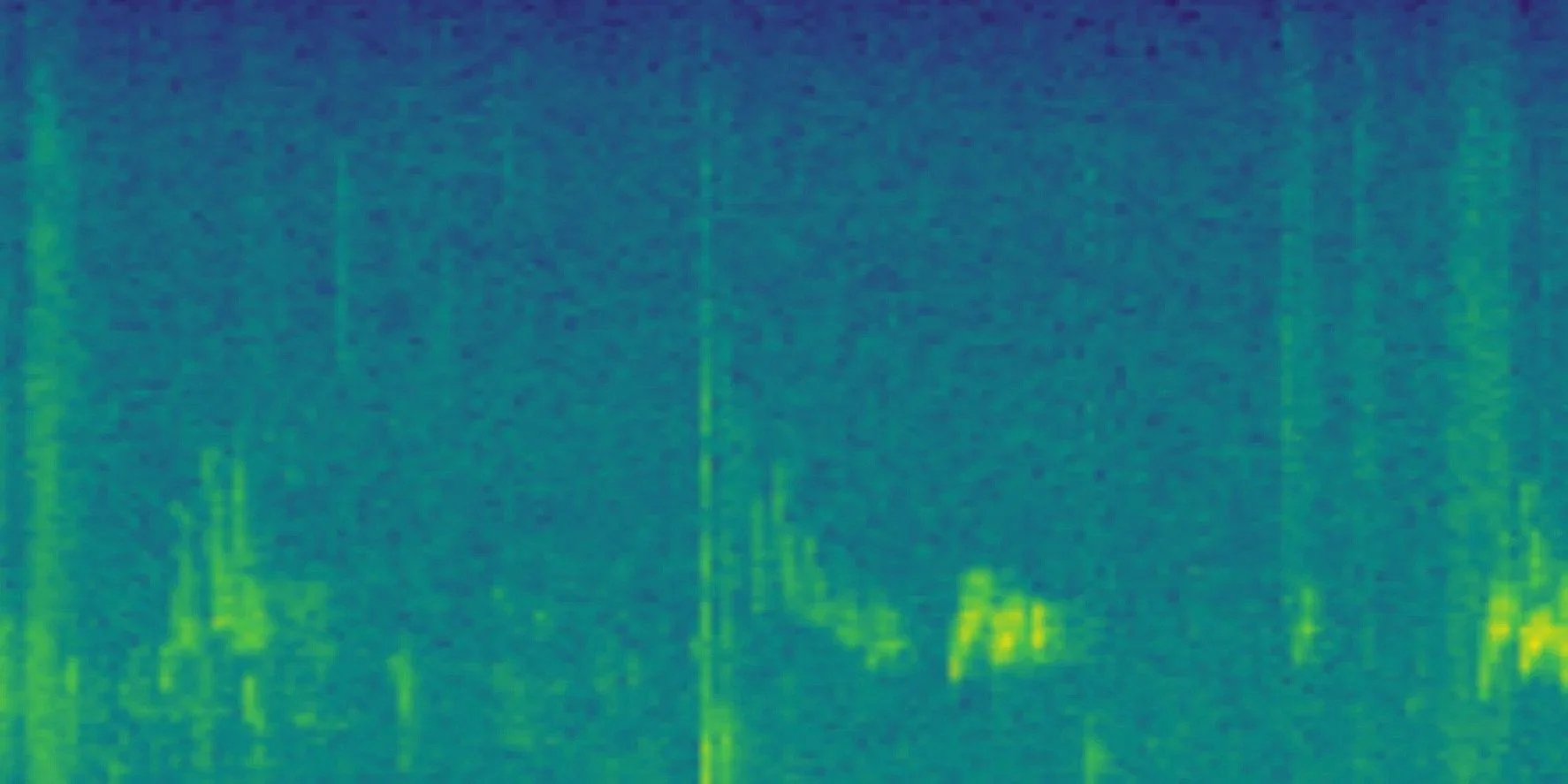 A BirdNET Live spectrogram showing acoustic activity recorded during a woodland survey.
