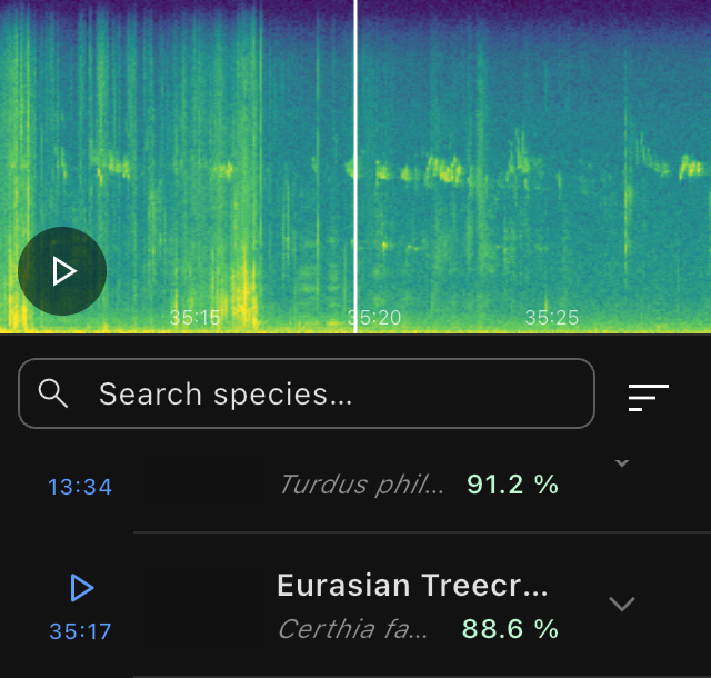 BirdNET Live screen showing a Eurasian Treecreeper detection