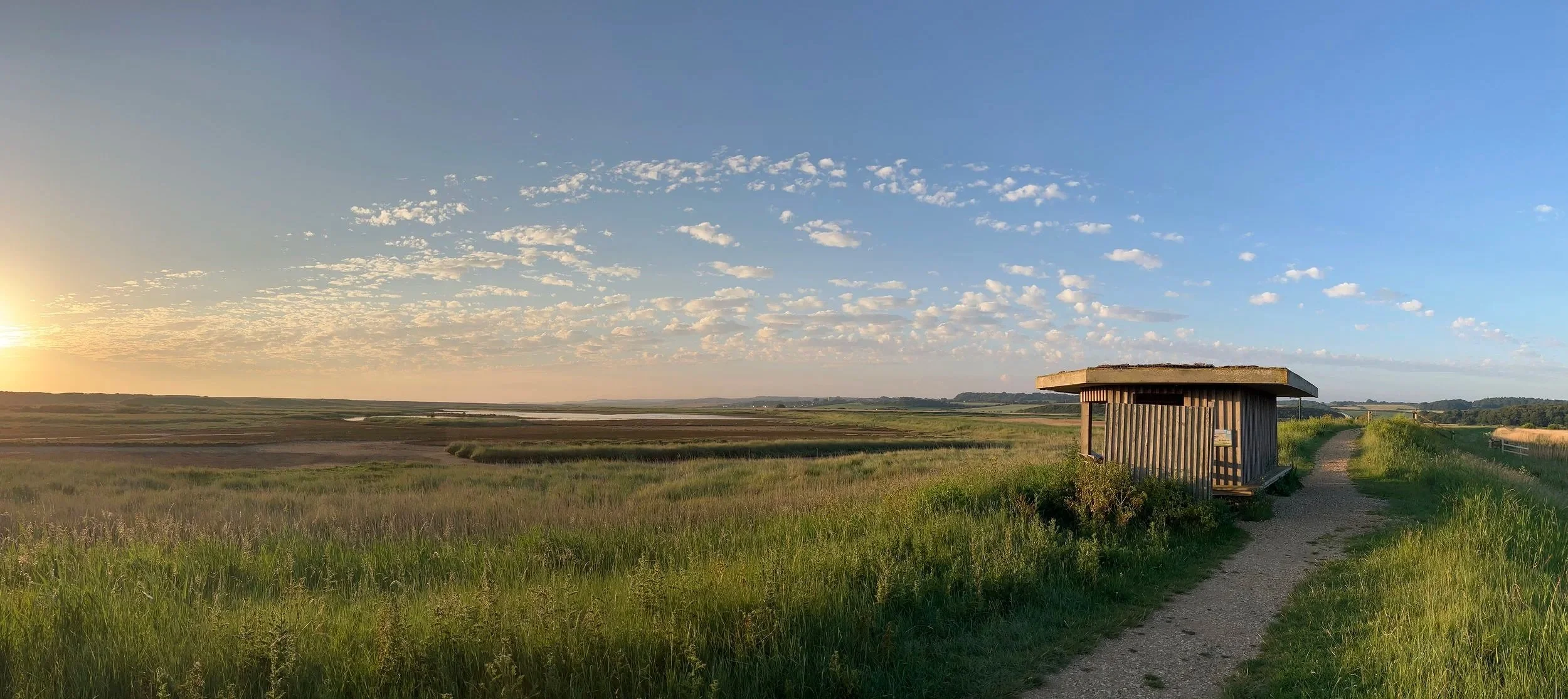 North Norfolk Birding in Autumn: A Long Weekend on the Coast