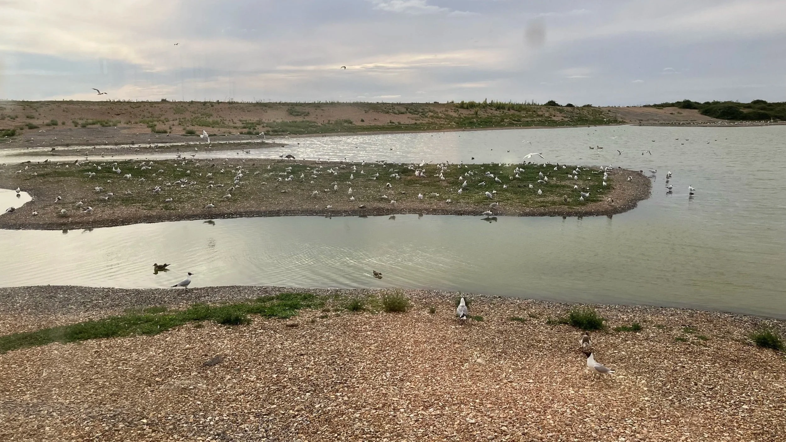 RSPB Snettisham lagoon