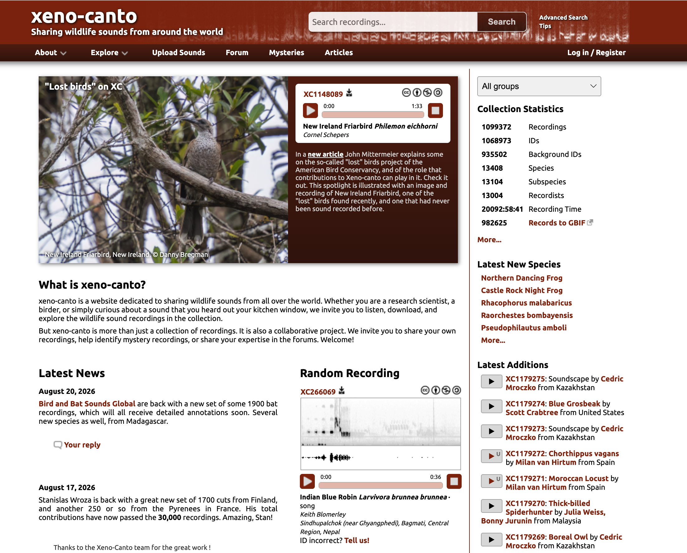 Screenshot of the Xeno-Canto website homepage displaying the search bar, audio player with spectrogram graph, and global collection statistics.