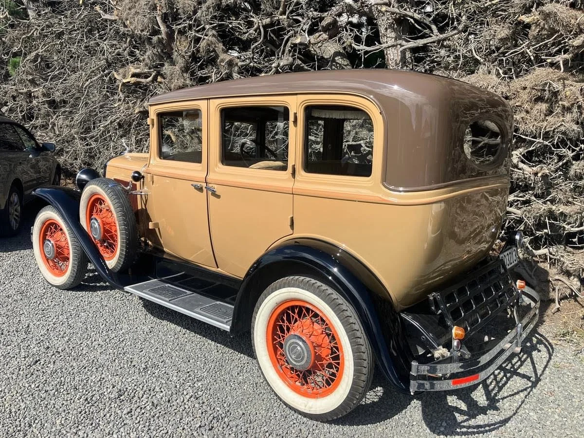 Vintage beige and black car with orange wheels parked on gravel, with tree branches in the background.