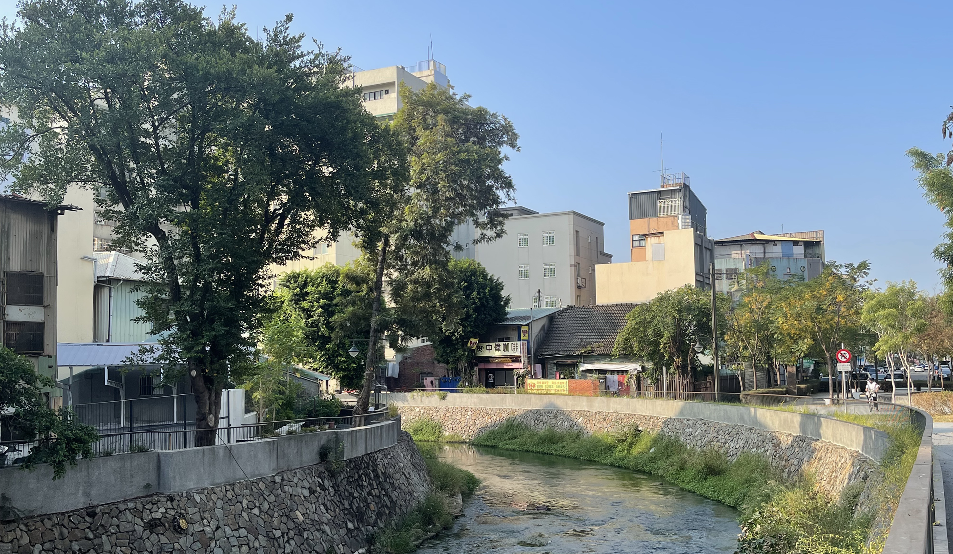 紅冠水雞在綠川