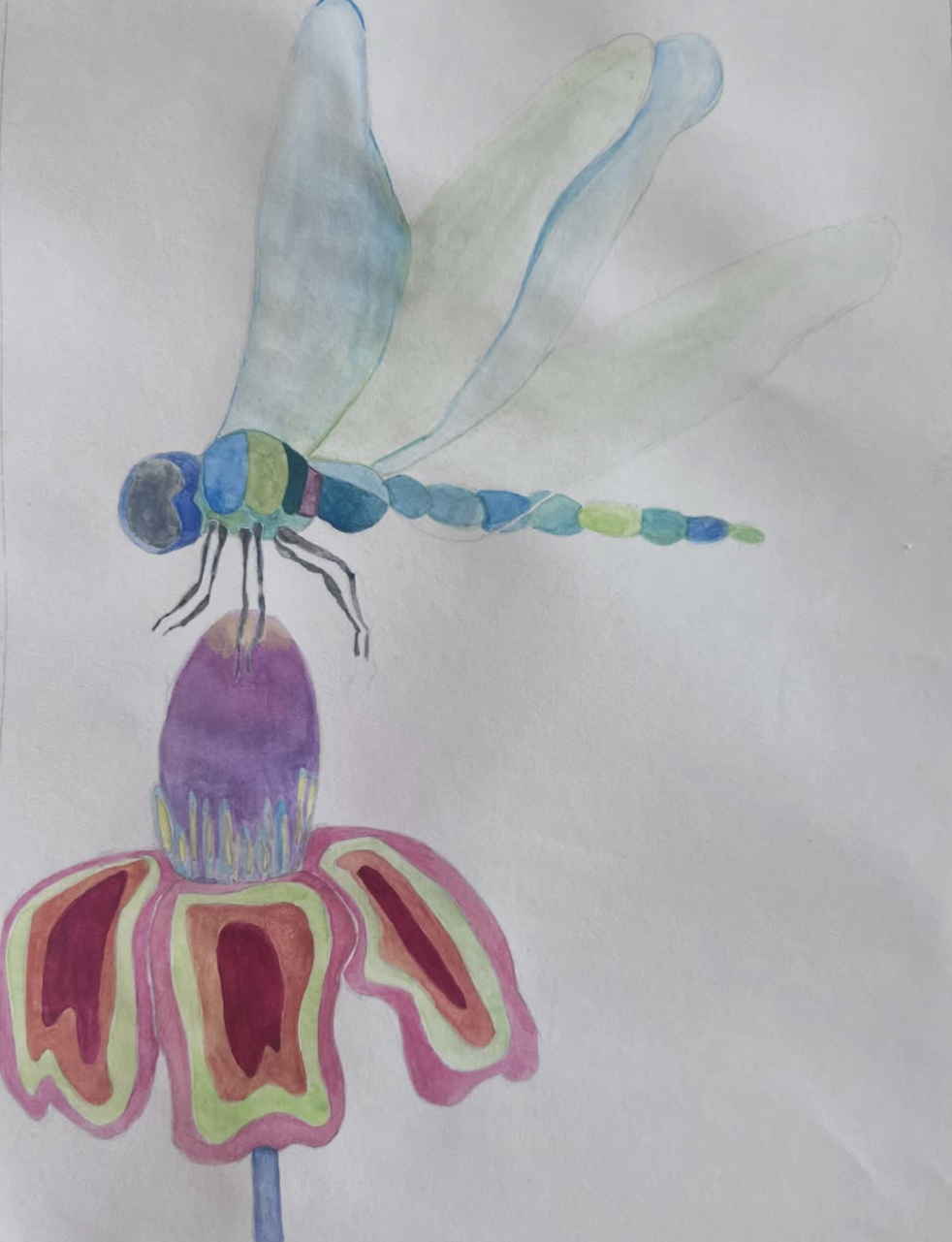The Dragonfly & Wildflower — A4 Watercolour Print