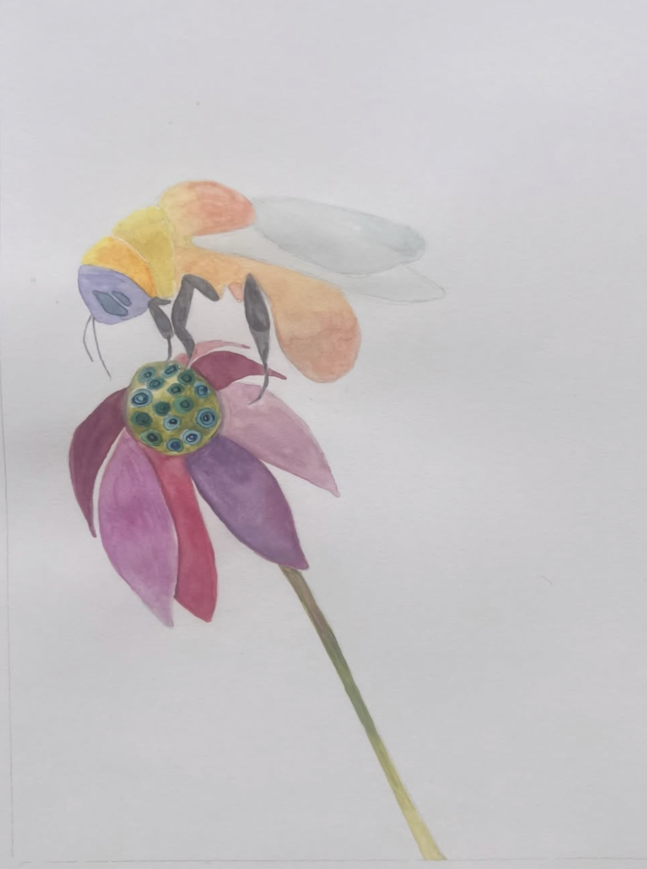 The Bee & Wildflower — A4 Watercolour Print