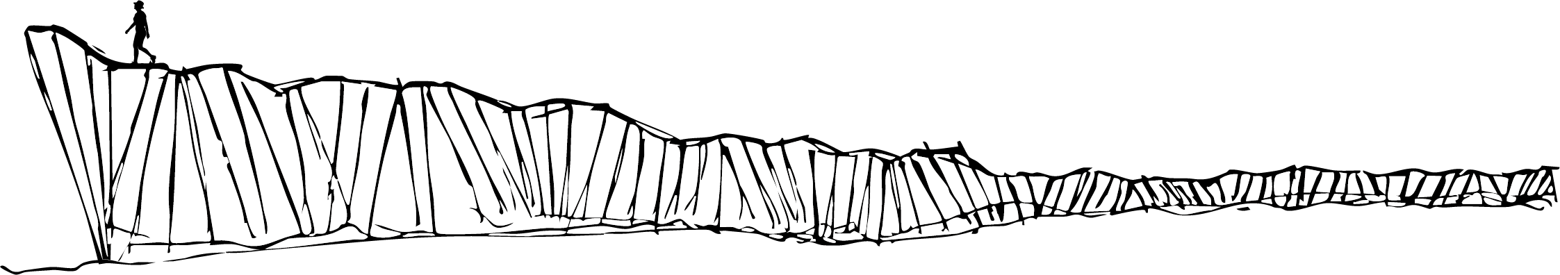 Hand-drawn illustration representing the principles behind Nature-Integrated Design.