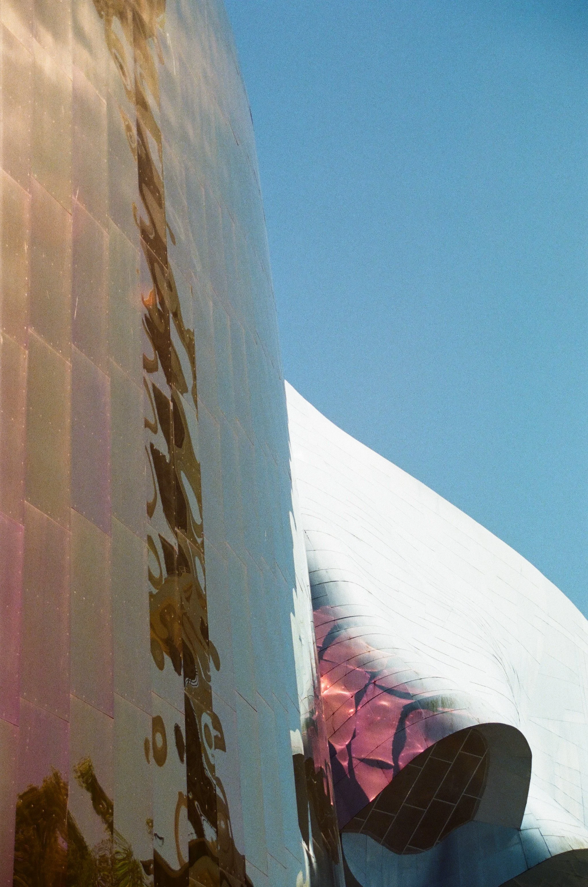 Close-up of a reflective metallic surface with distorted reflections of text and trees, and a curved purple-tinted section at the bottom.