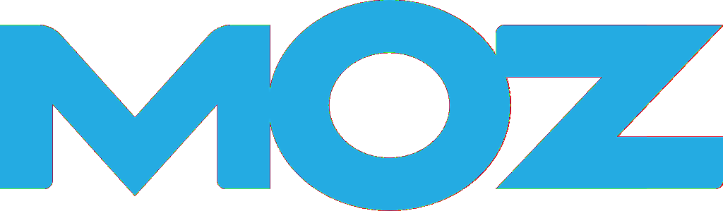MOZ SEO Professional