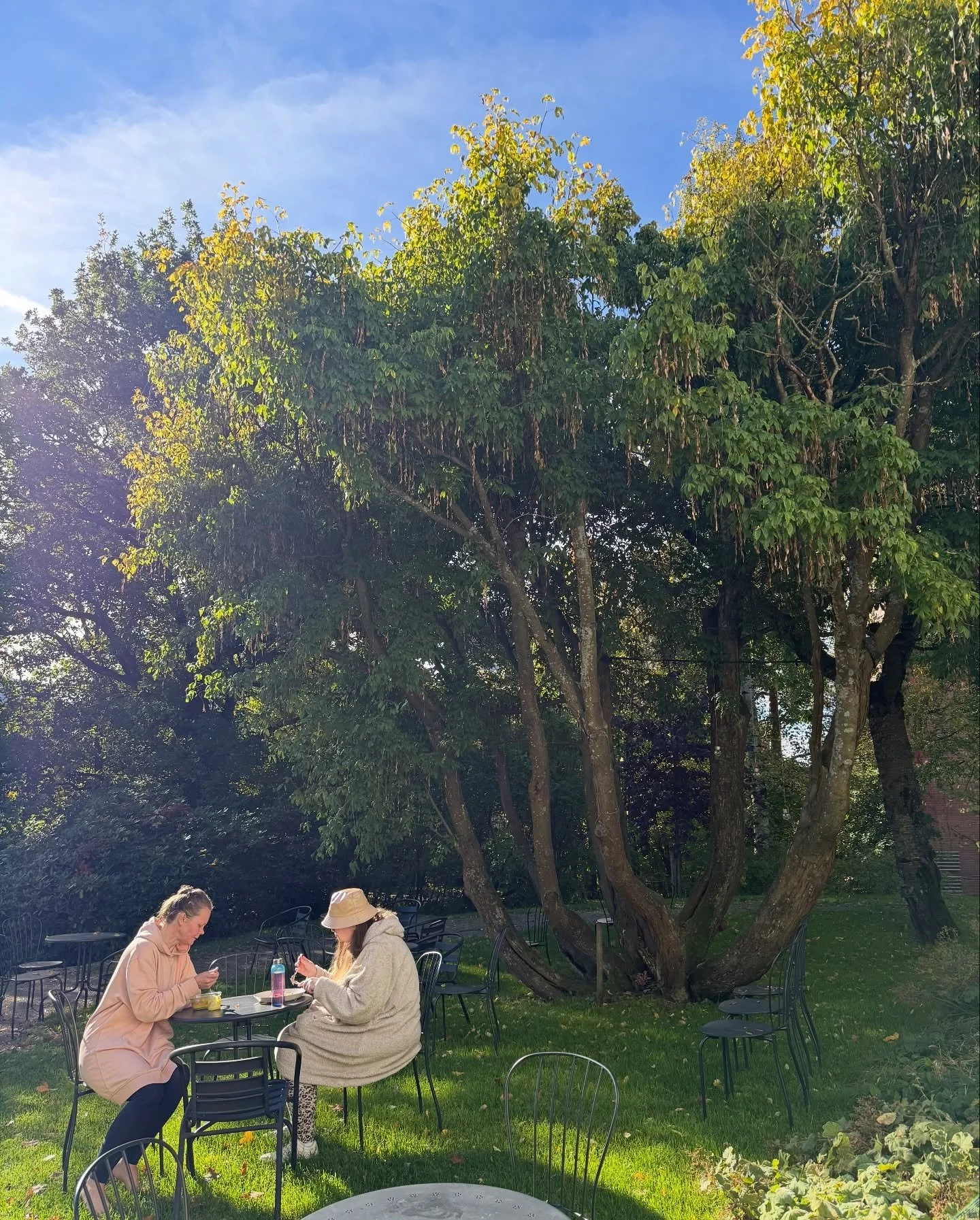 Leikkiksen ryhm&auml;t ovat l&auml;hteneet syksyn osalta k&auml;yntiin, ja porukat ovat p&auml;&auml;sseet jo tutustumaan toisiinsa ja yhteiseen tekemiseen. 🍁🍂

Vallilan Leikkis vierailee t&auml;ll&auml; hetkell&auml; Bokvillanin huvilassa Arabianr
