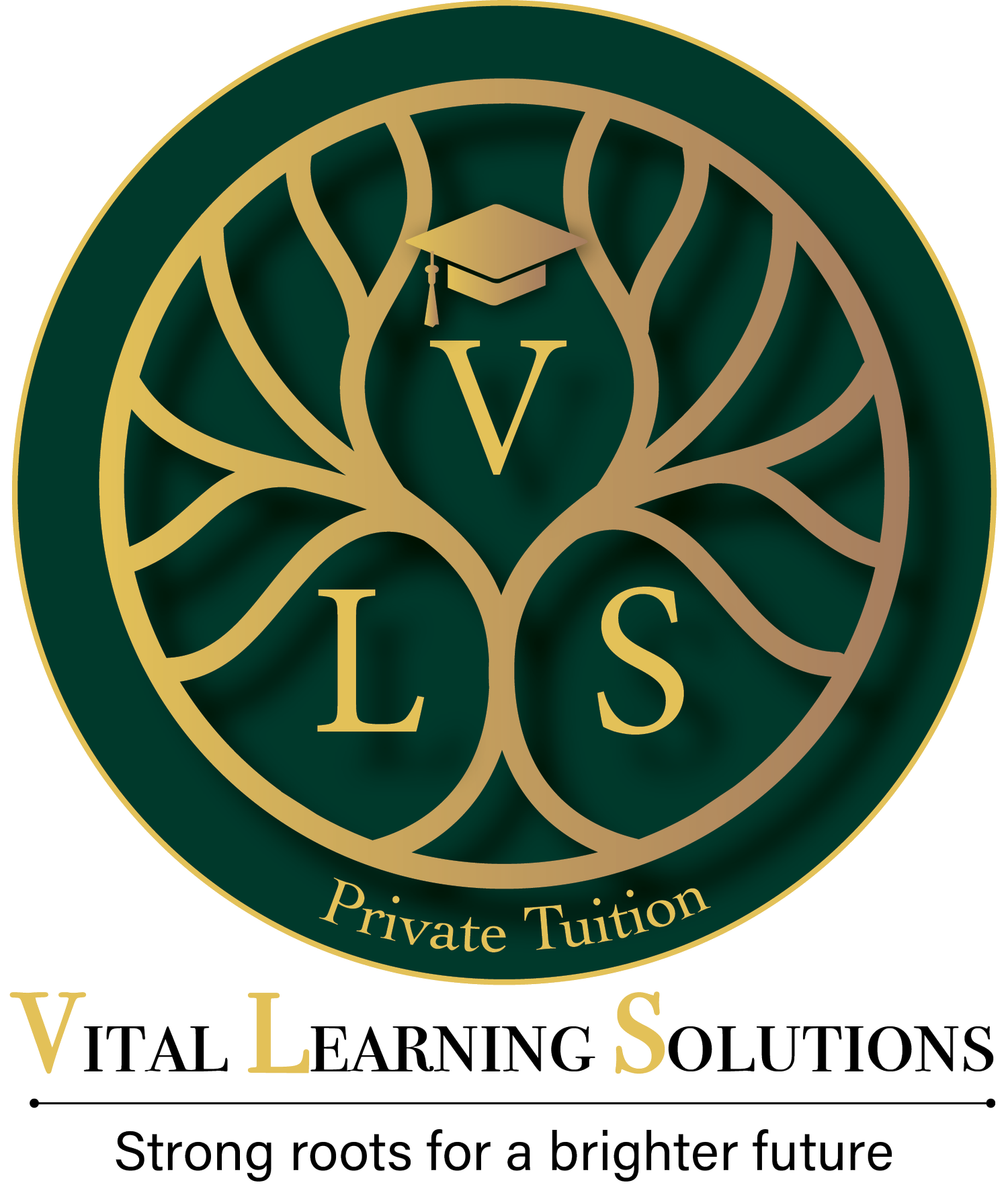 VLS PRIVATE TUITION