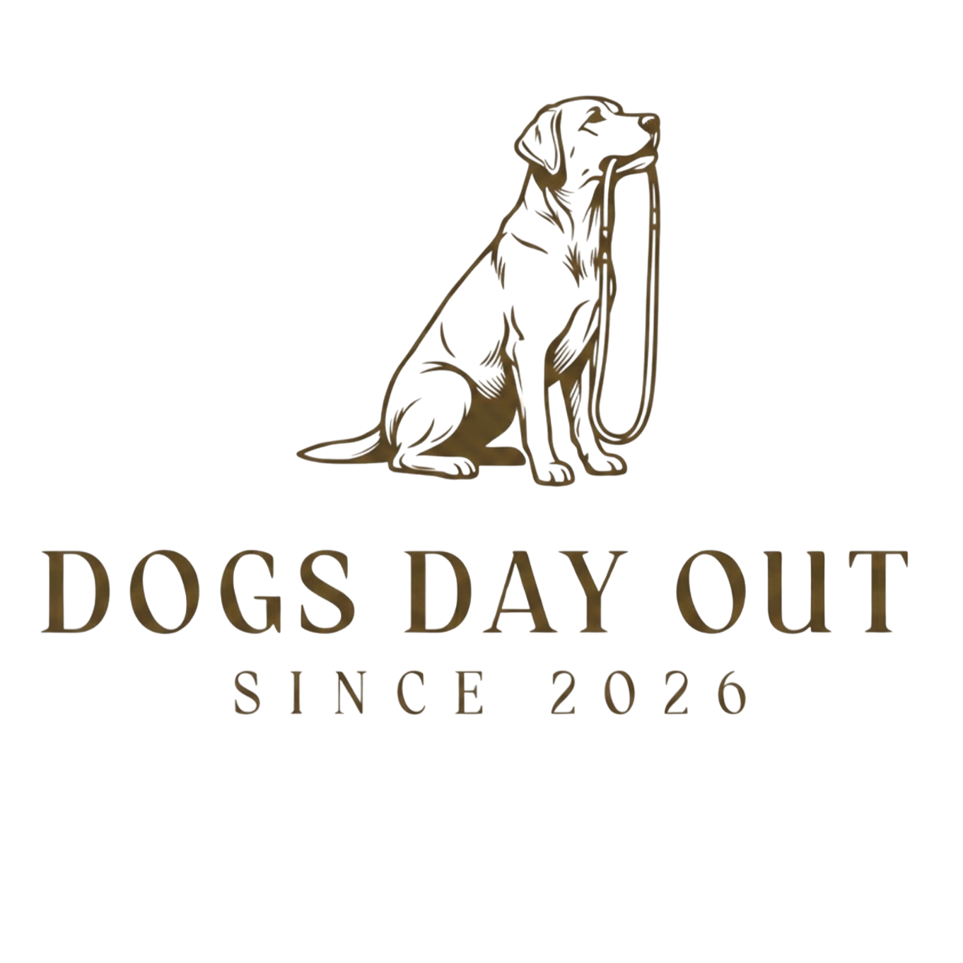 Dogs Day Out